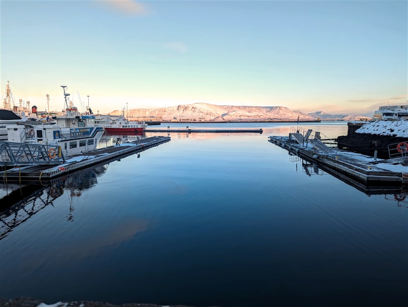 Fishing boats moored in Reykjavík's harbour at dawn with a snow-covered Mount Esja glowing pink across the bay