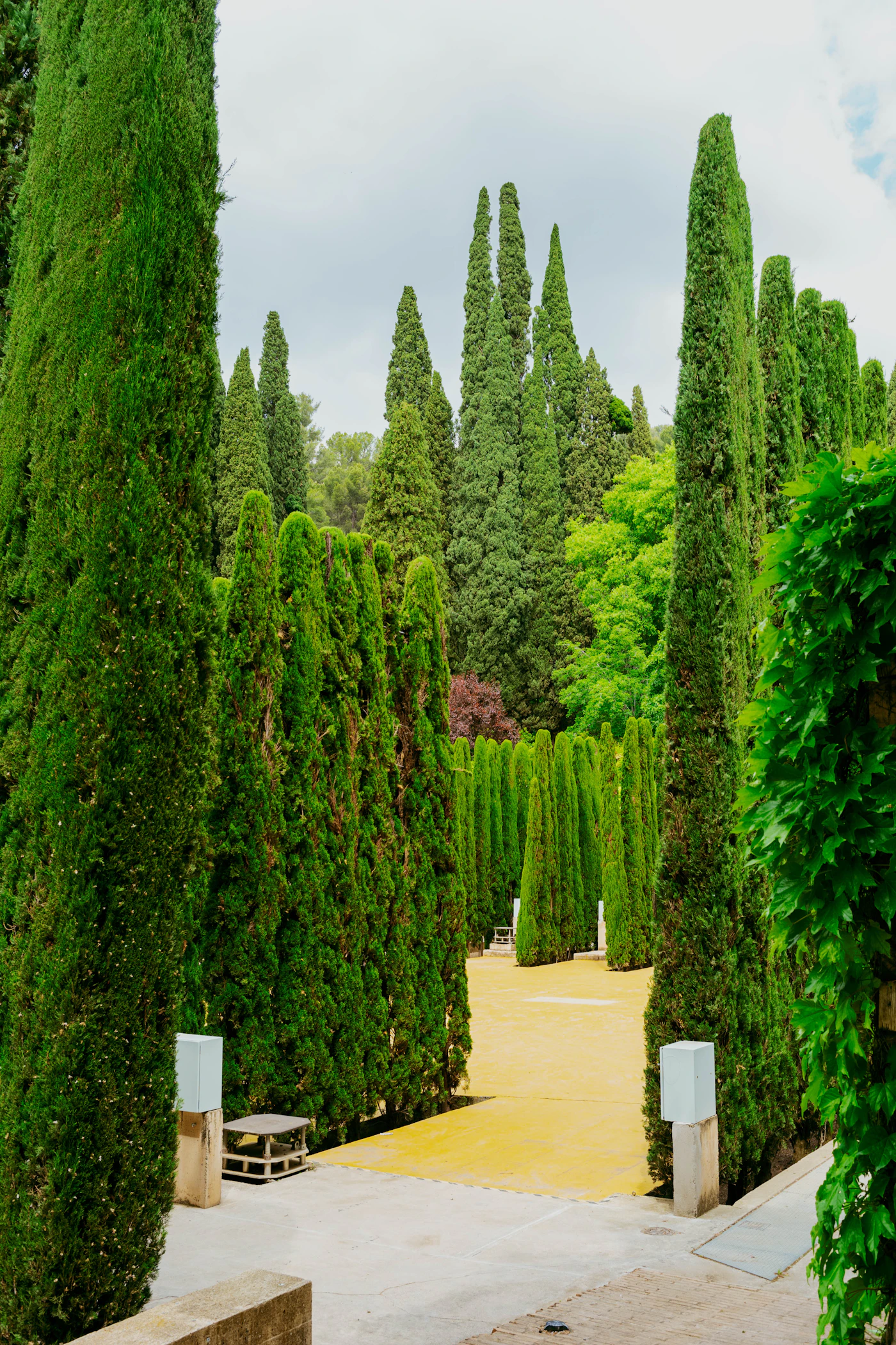 Jardin de topiaires taillés
