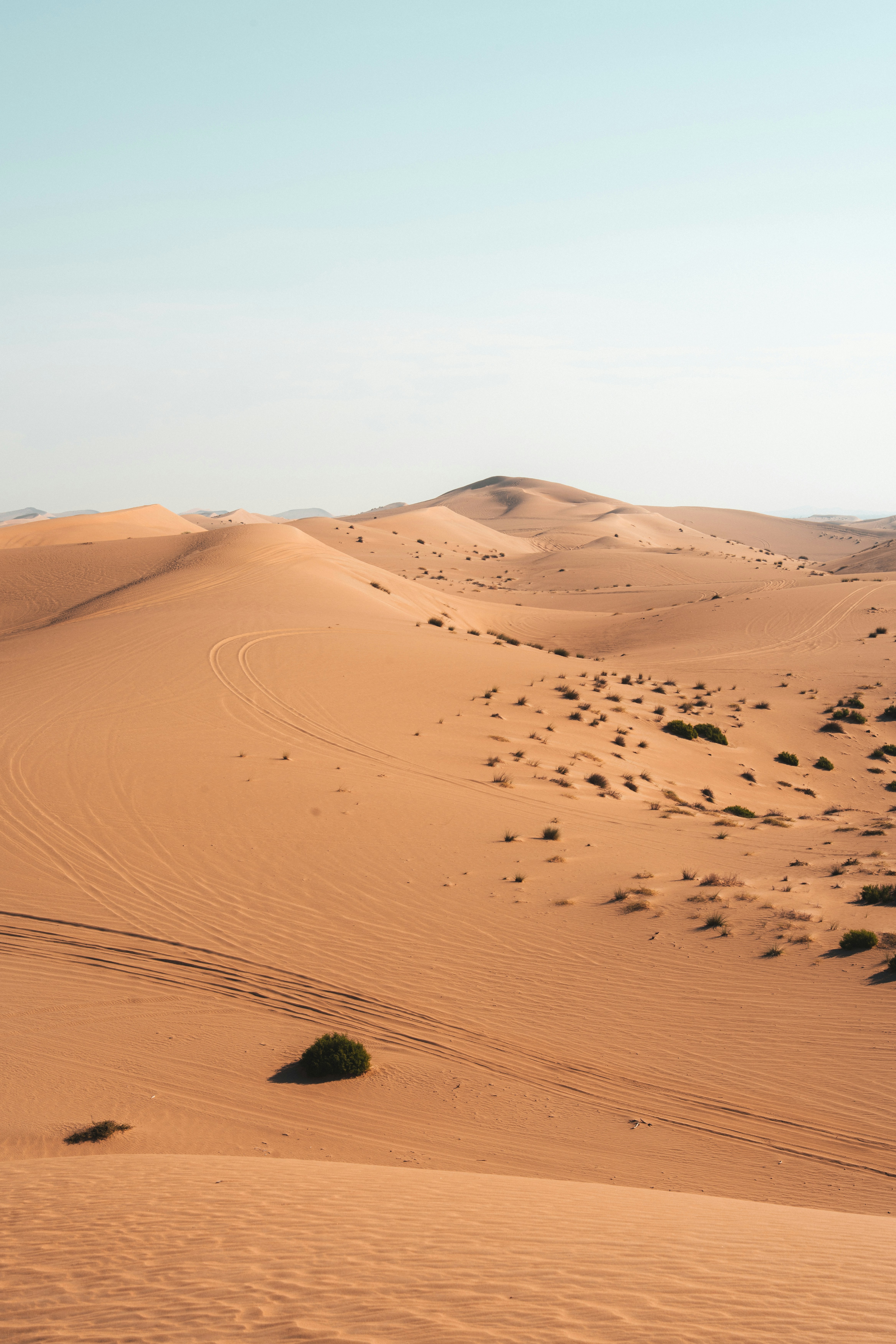 Vast desert landscape with towering sand dunes and sparse vegetation.