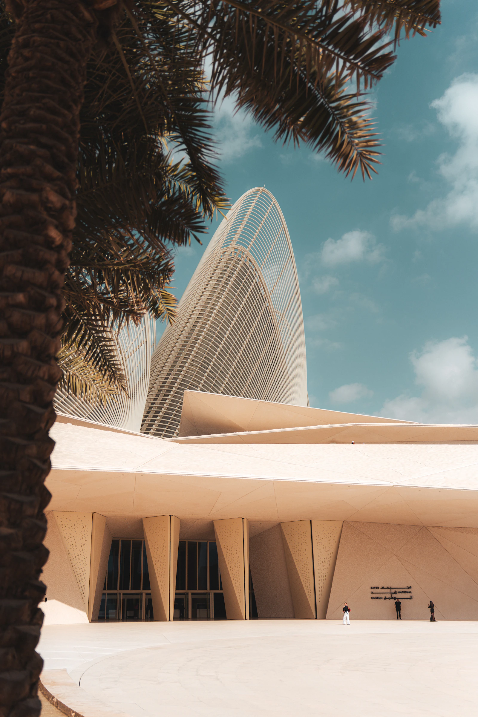 Soaring curved roof of Zayed National Museum beside a palm tree
