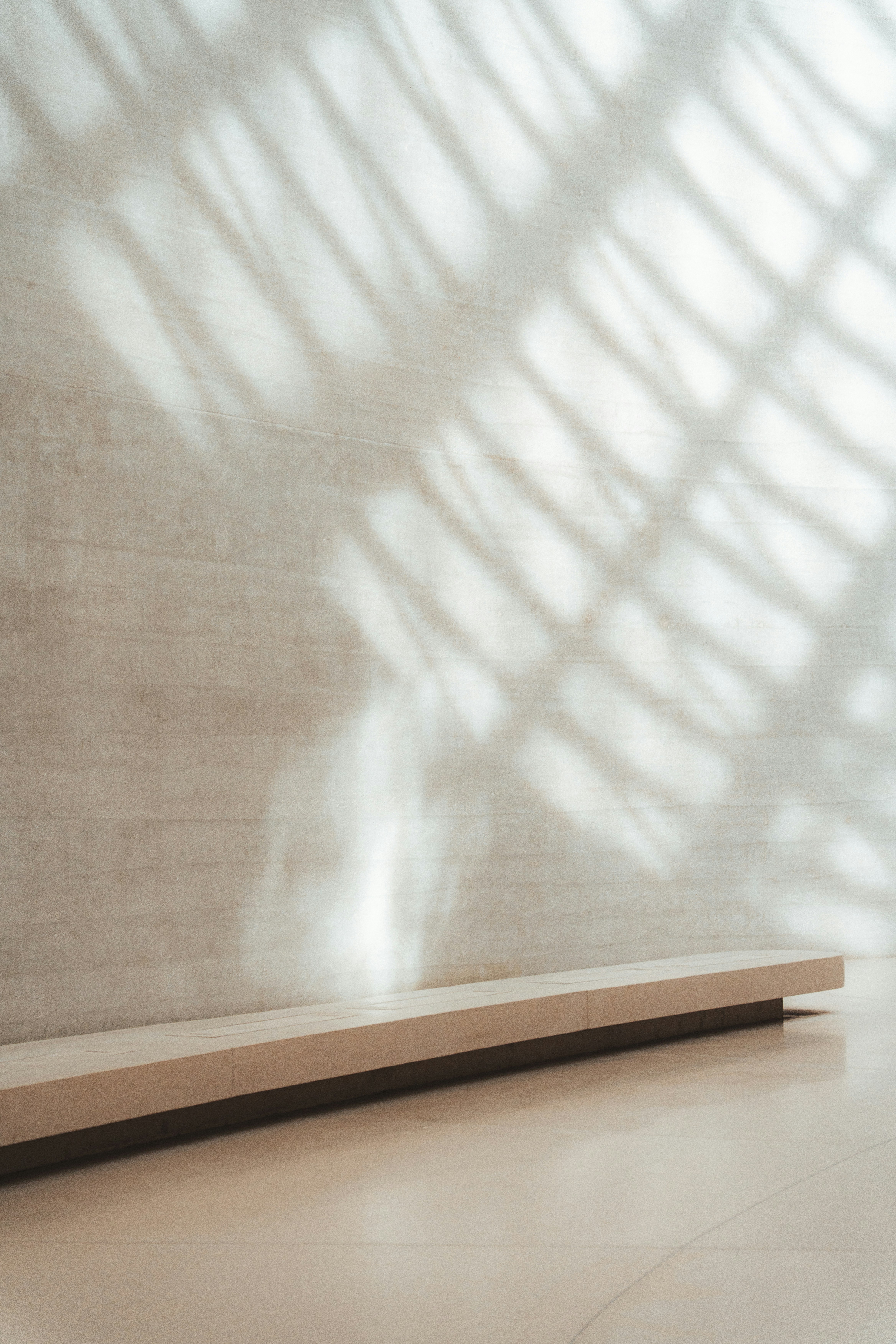 Palm leaf shadows fall on a minimalist wall and bench.