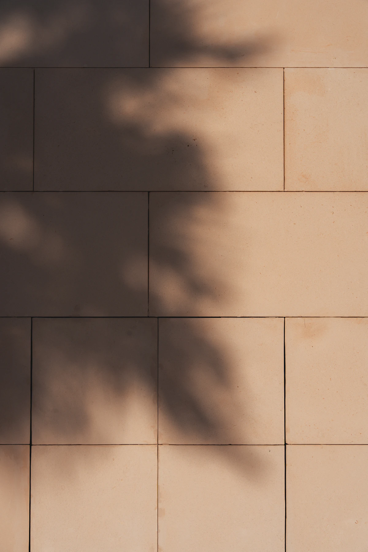 Textura de piedra travertino, referencia de marca Travertina