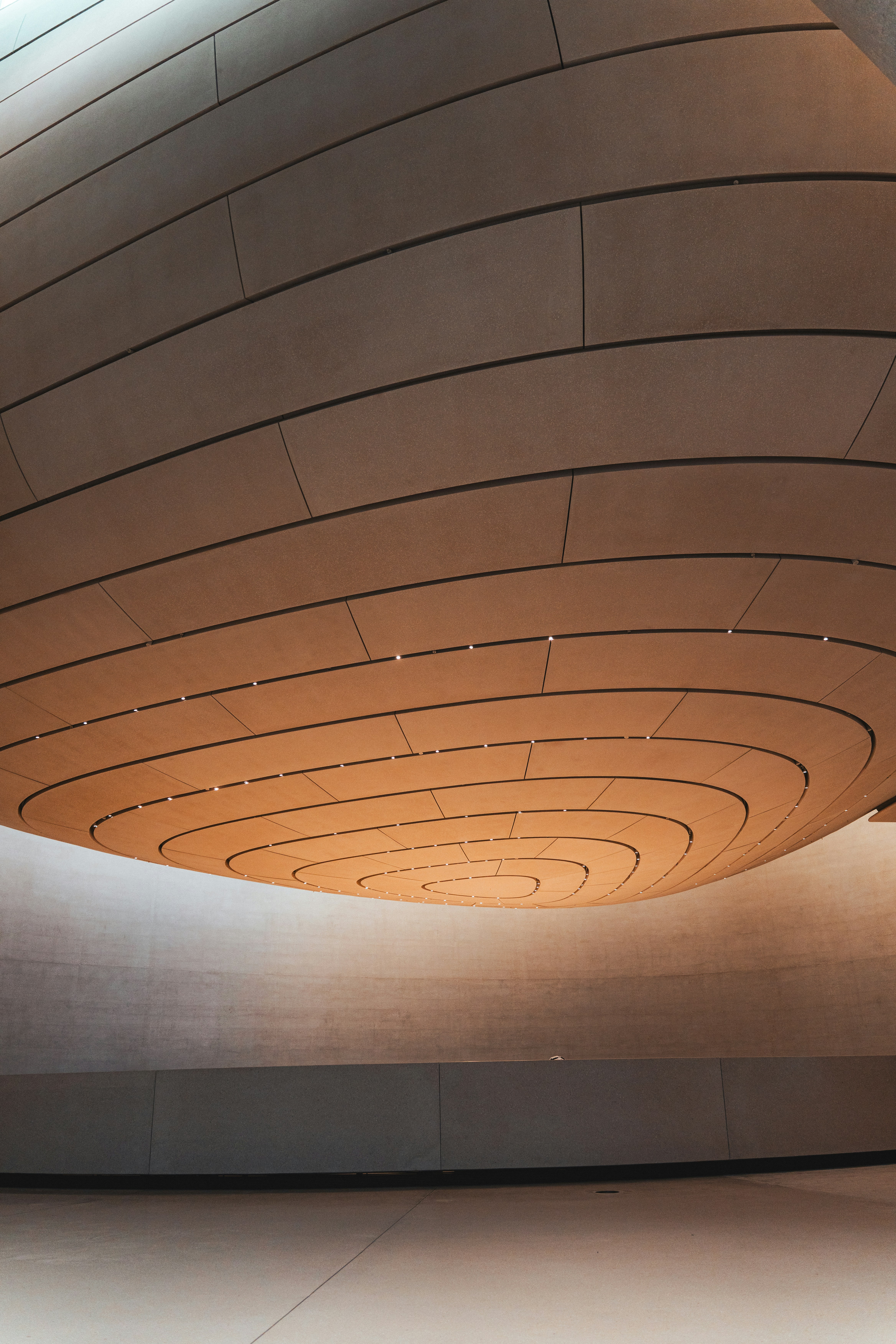 Modern curved ceiling with concentric lines and warm lighting.