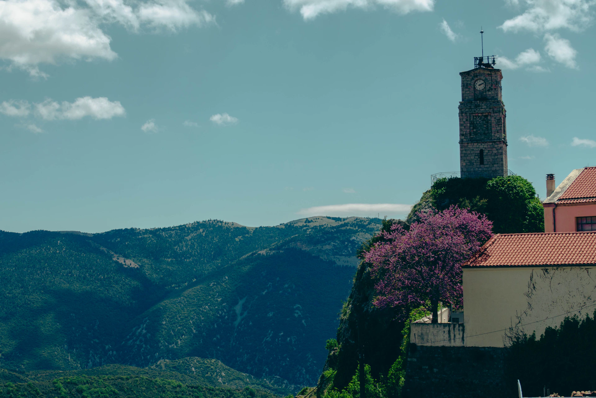 Stone tower on hill, mountains, and purple flowering tree