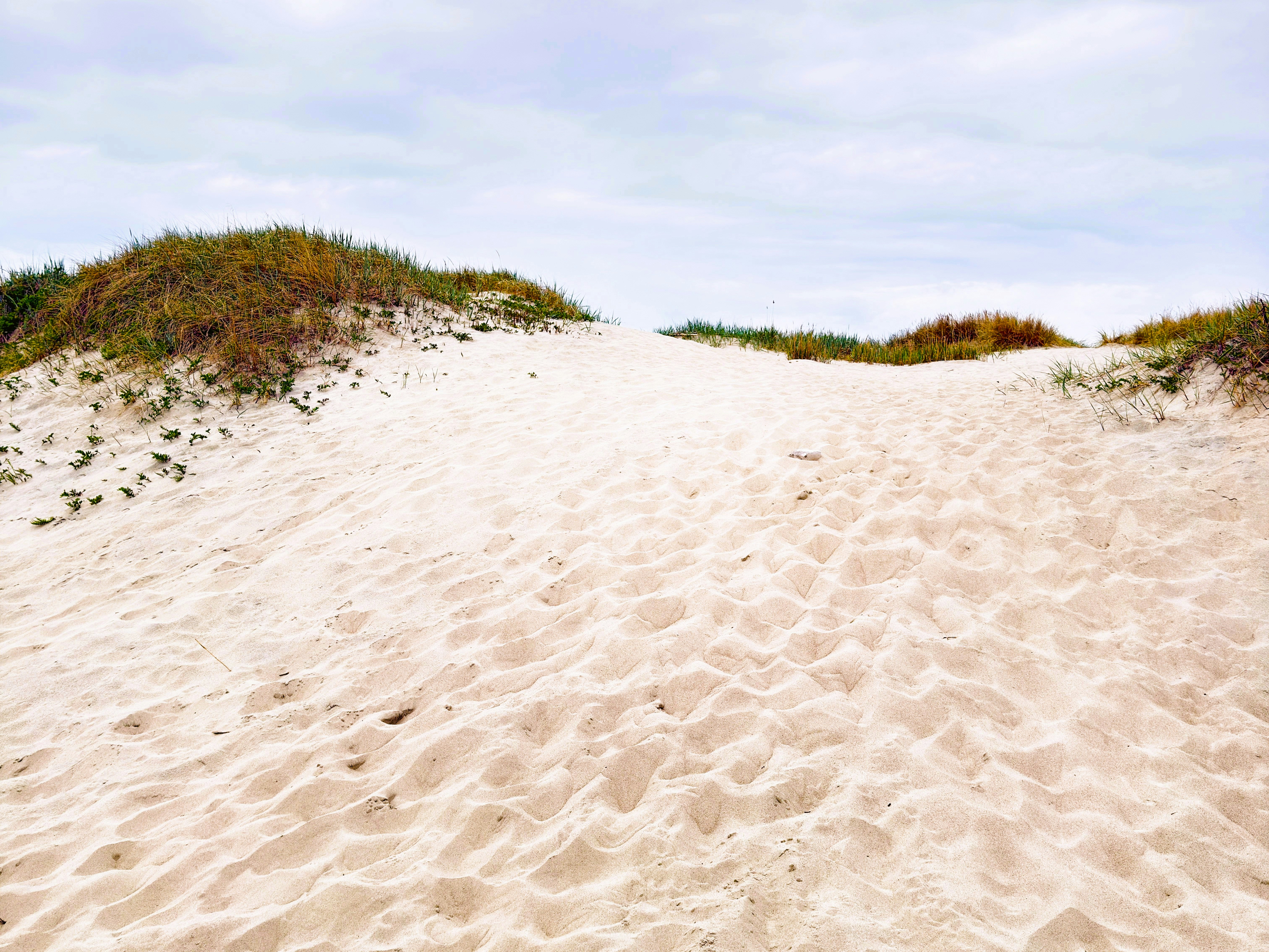 Sandy beach dunes with sparse vegetation under a cloudy sky.