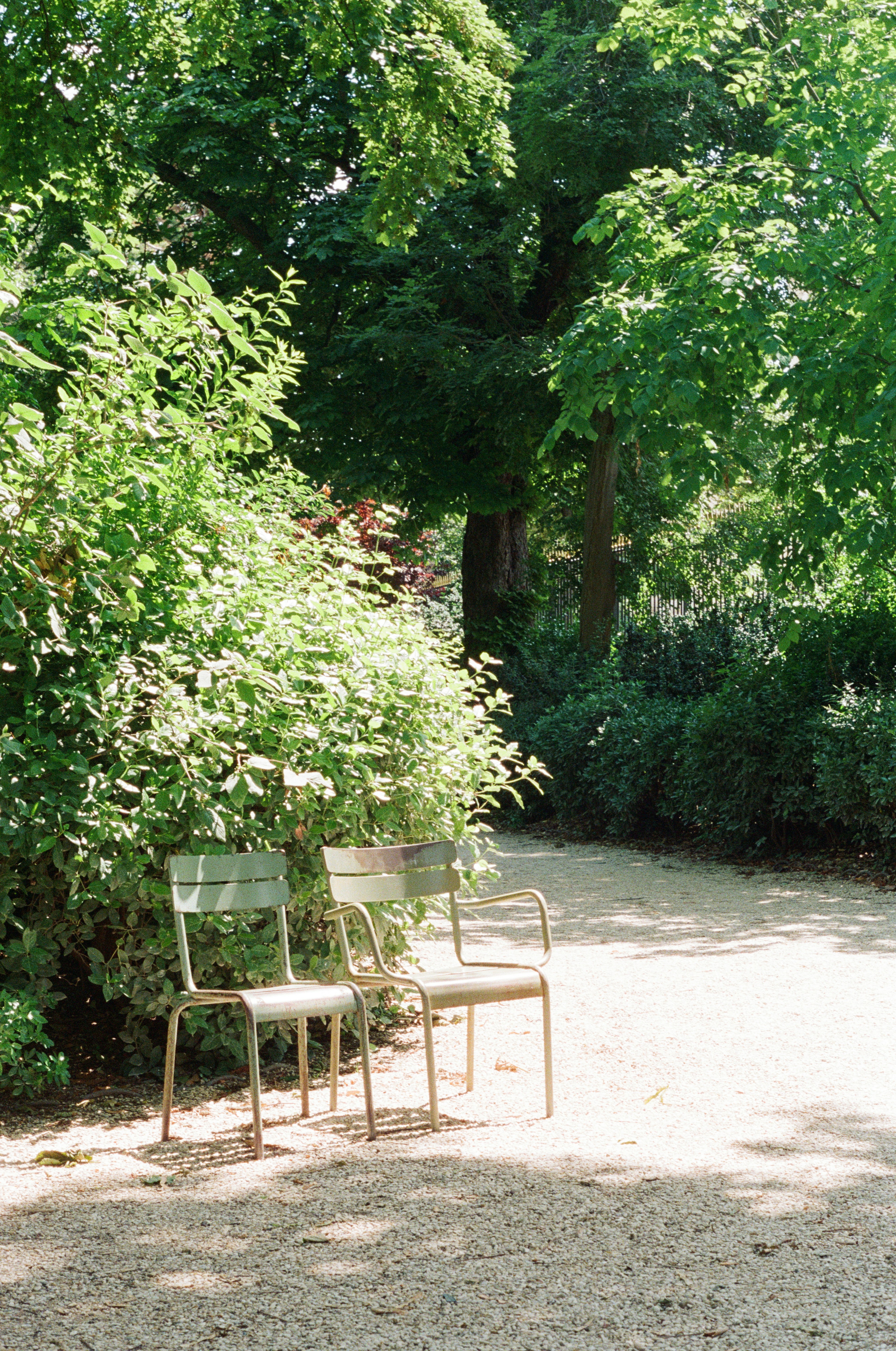 Green chairs on a gravel path amidst lush park foliage.