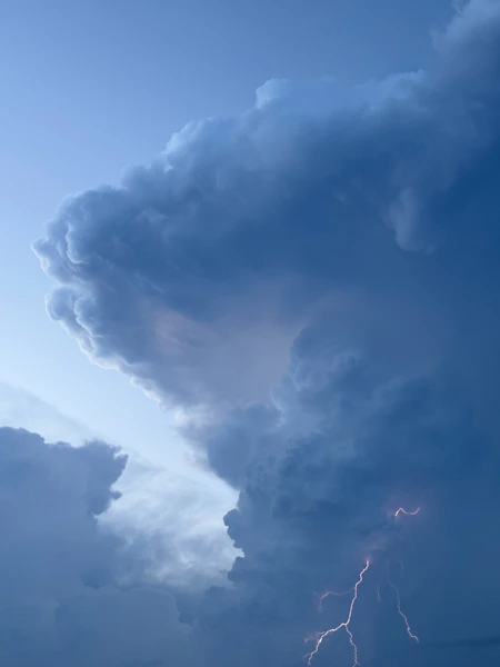 The Forecast That Cried Wolf