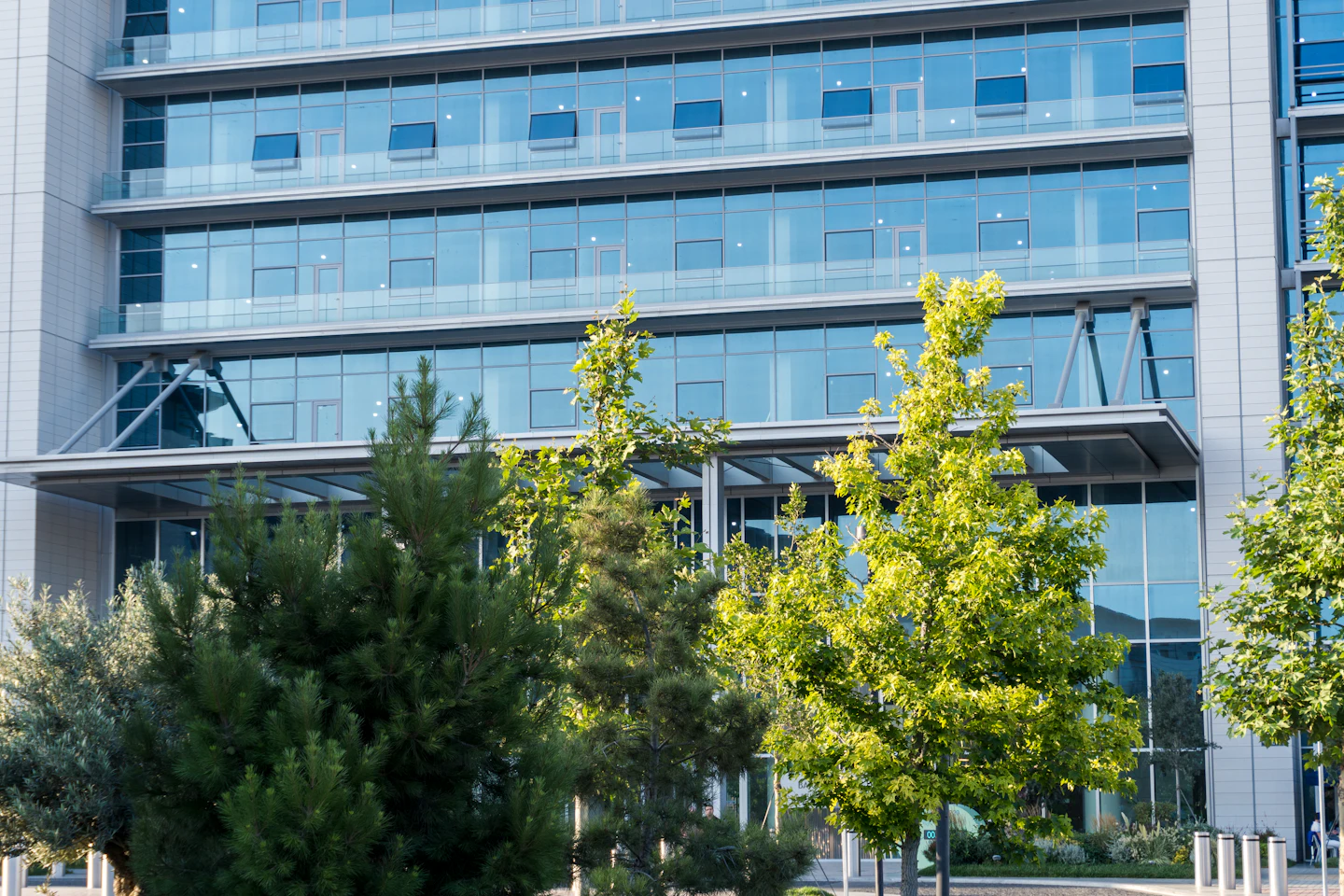 Immeuble de bureaux vitré bordé d'arbres