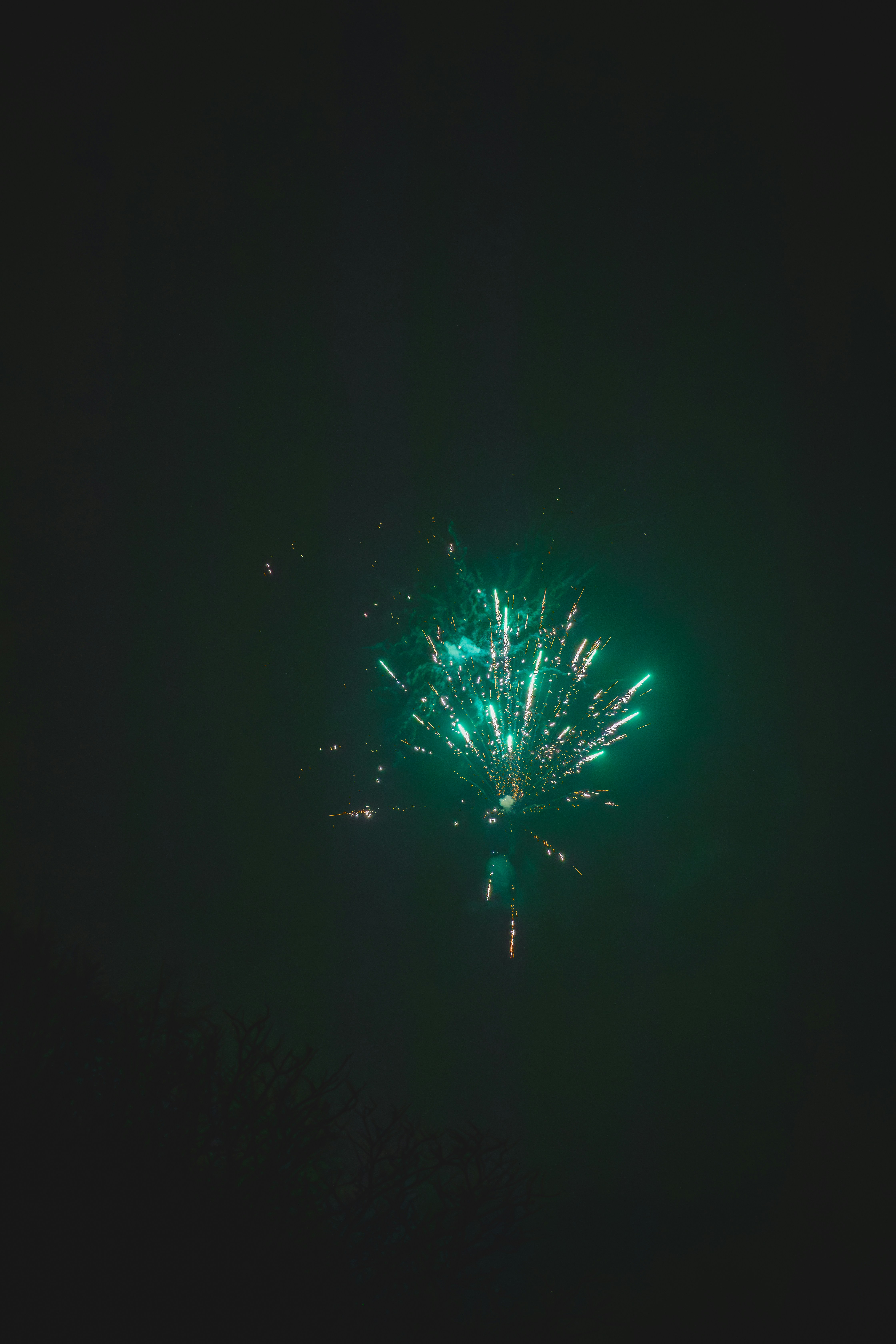 Fogos de artifício verde brilhante explodindo no céu noturno escuro.