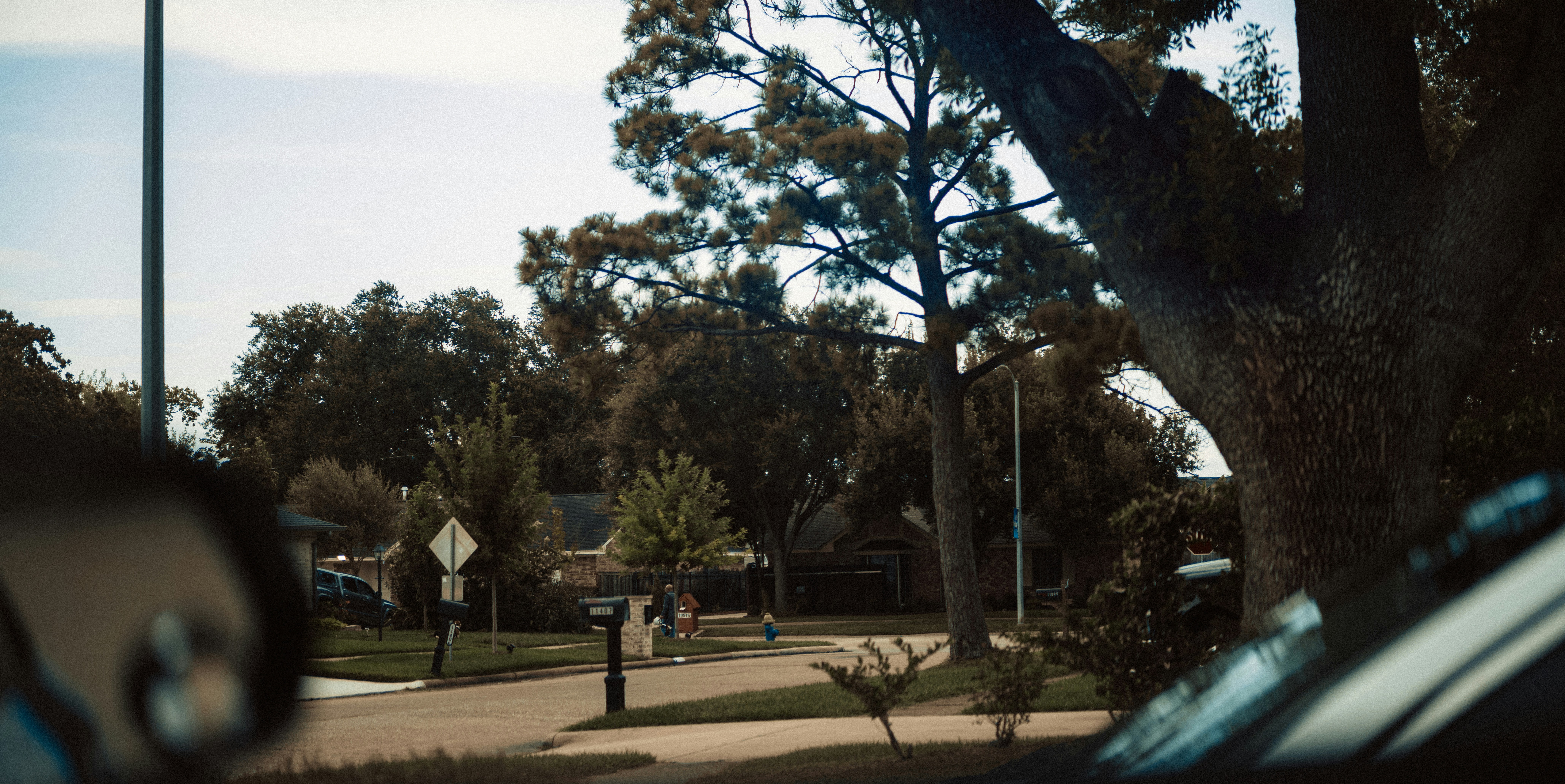 What That Low Tree Removal Bid Is Really Telling You About the Contractor Behind It