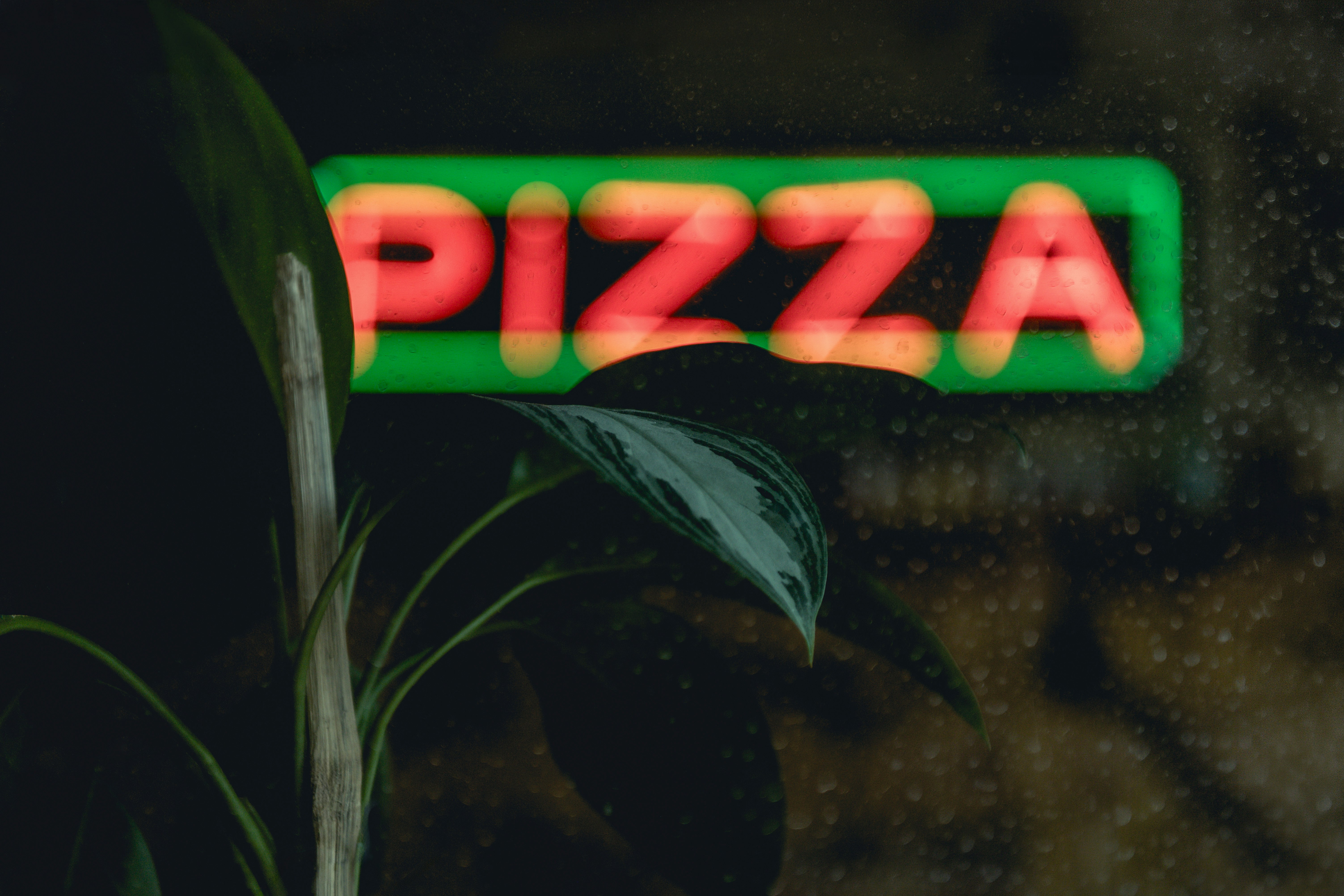 Glowing neon pizza sign behind window with plant