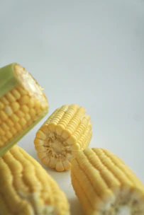 Fresh yellow corn on the cob against white background.