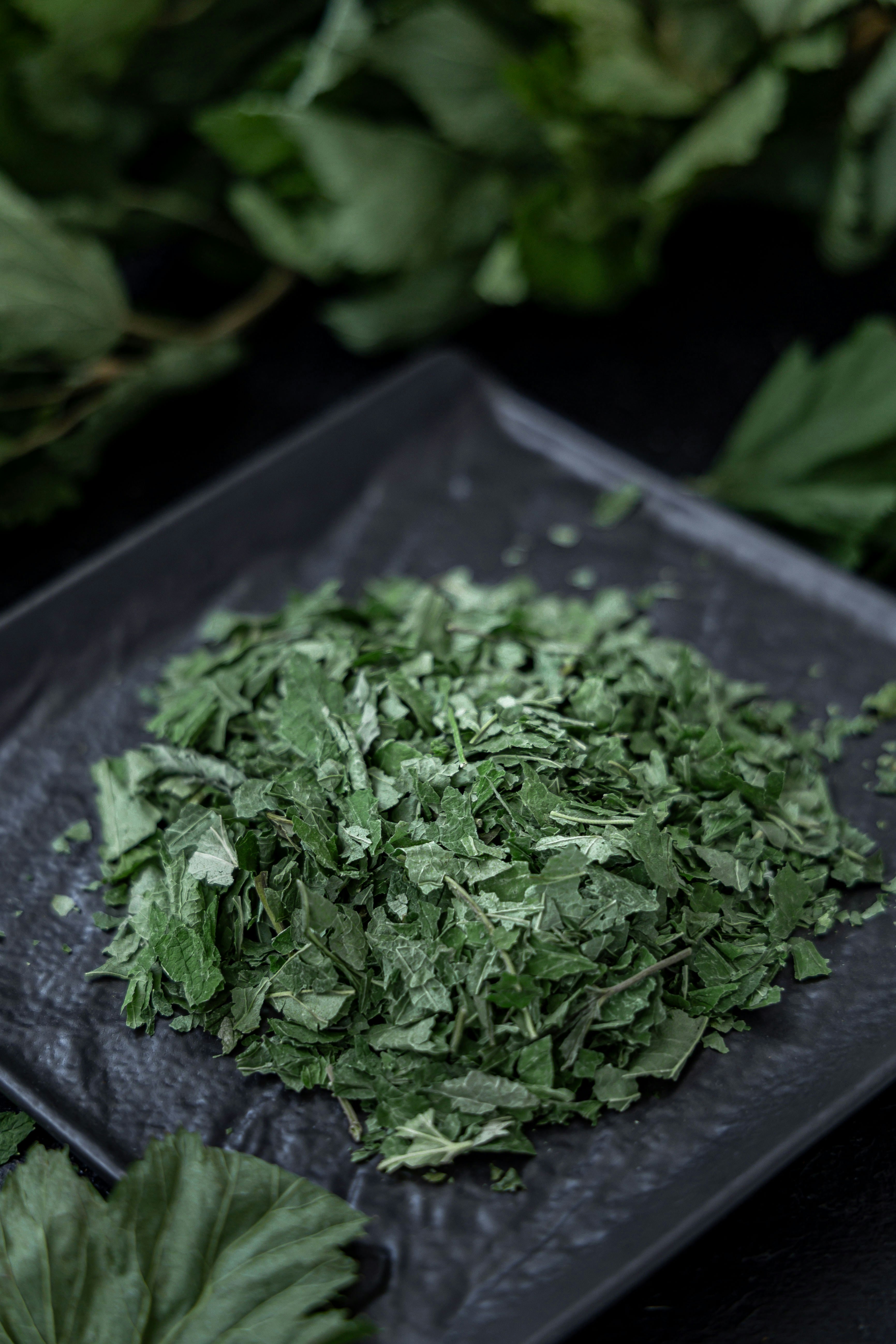 Dried green leaves on a black plate