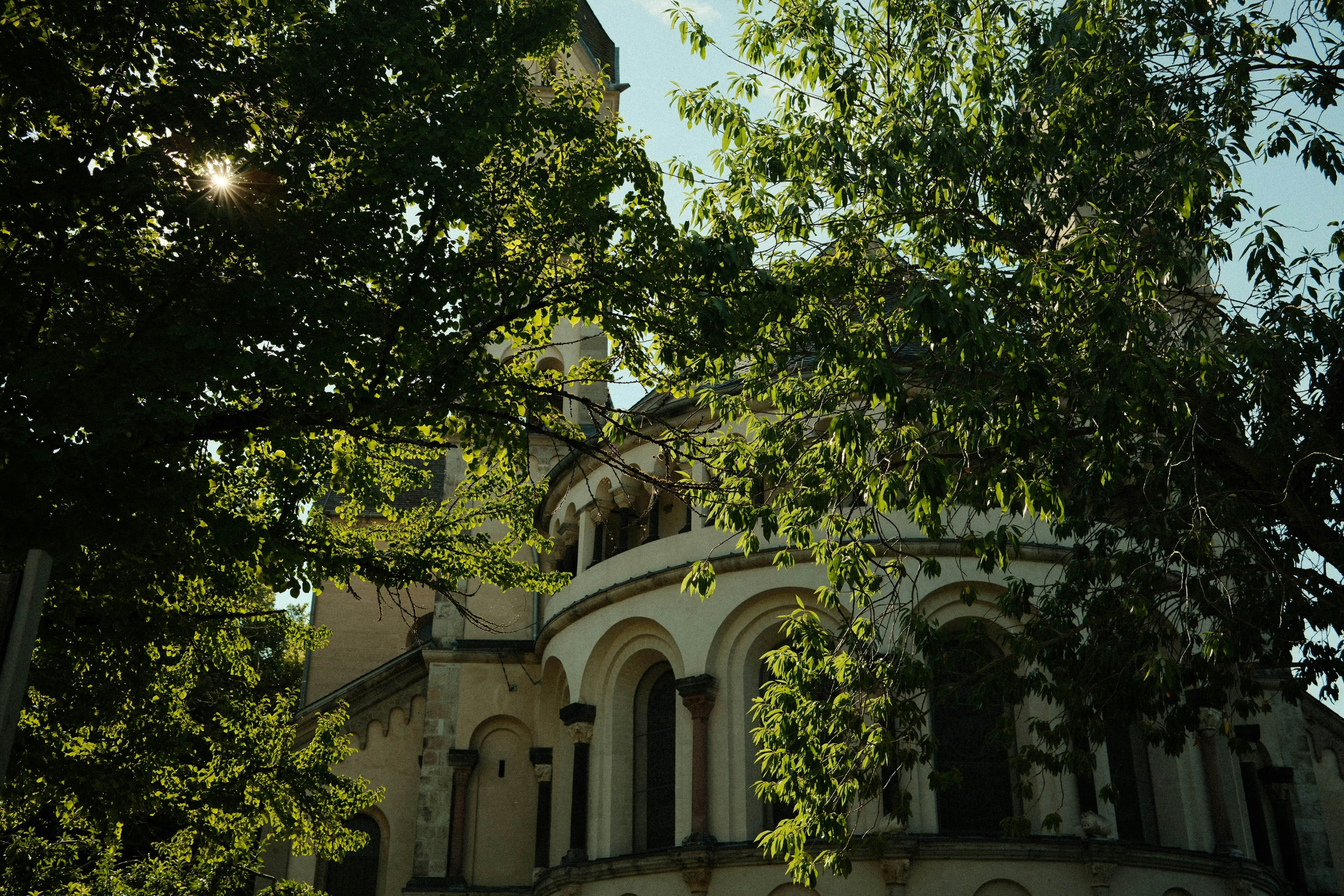 Sunlight filters through trees, revealing an old stone church