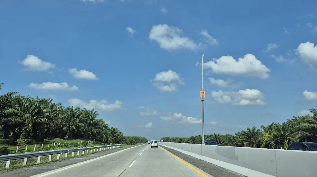 Highway through palm trees under a bright cloudy sky