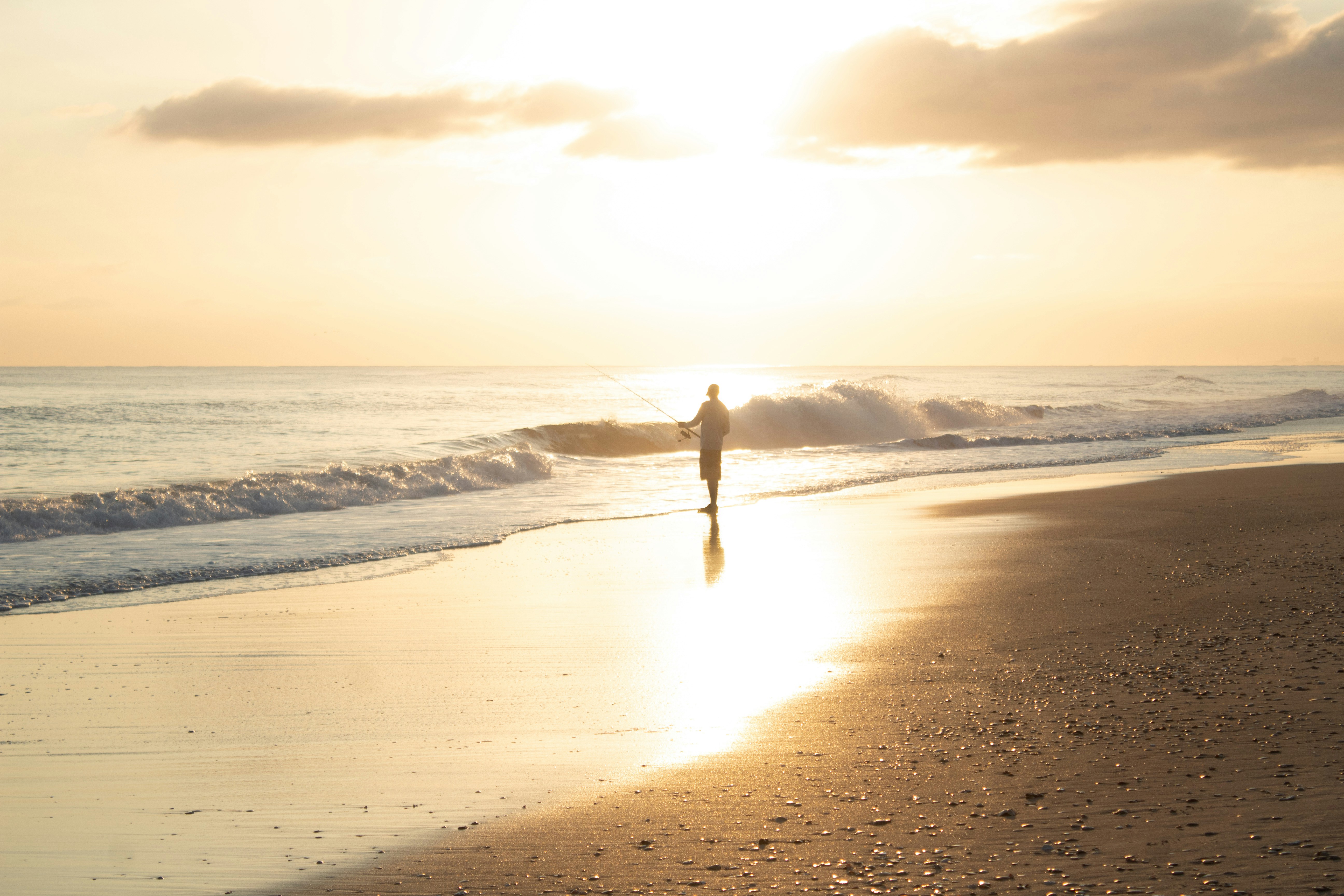 A figure walking along a sunlit beach at dawn