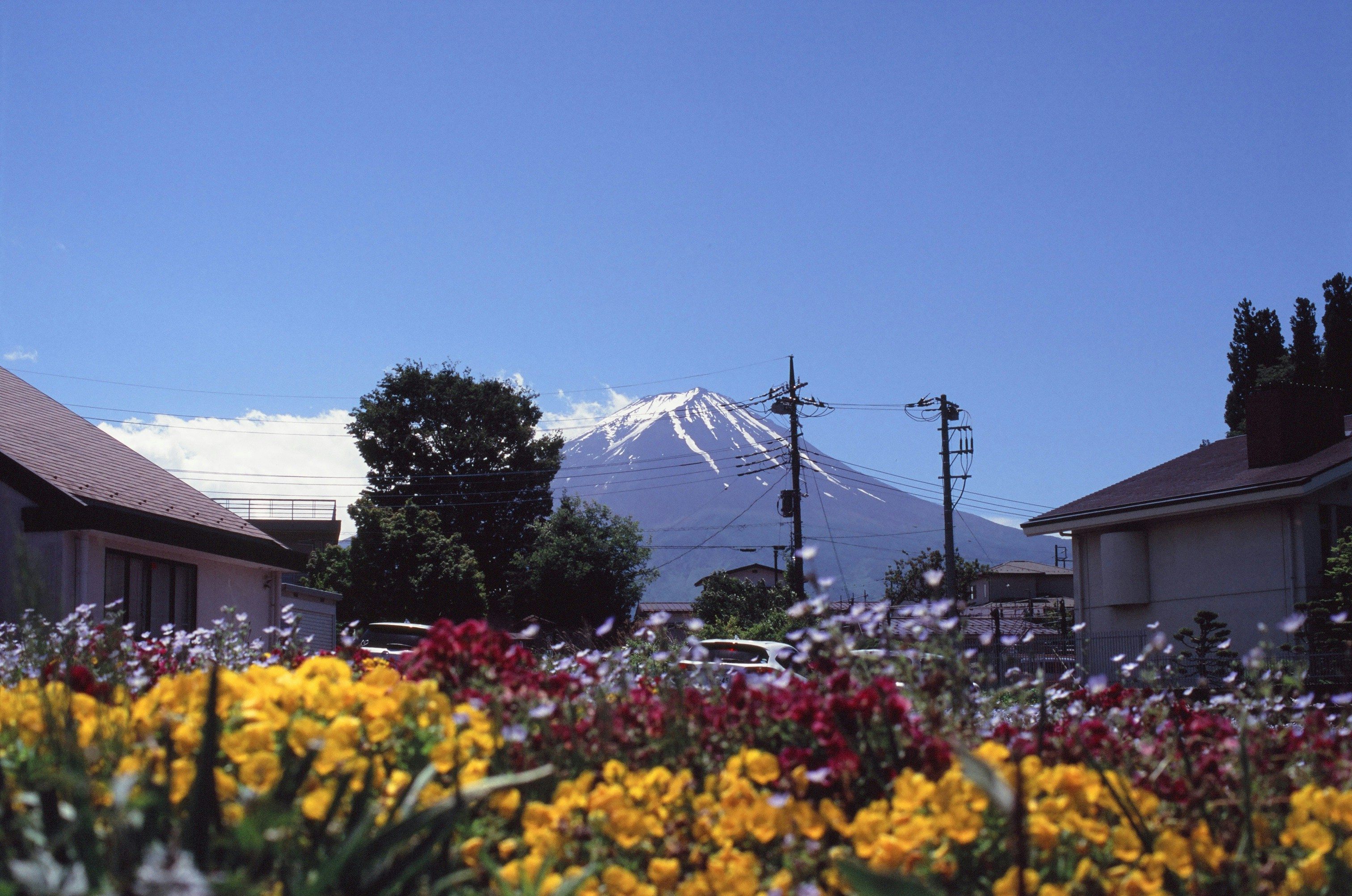 Photo: Foreground — Yagizaki Park