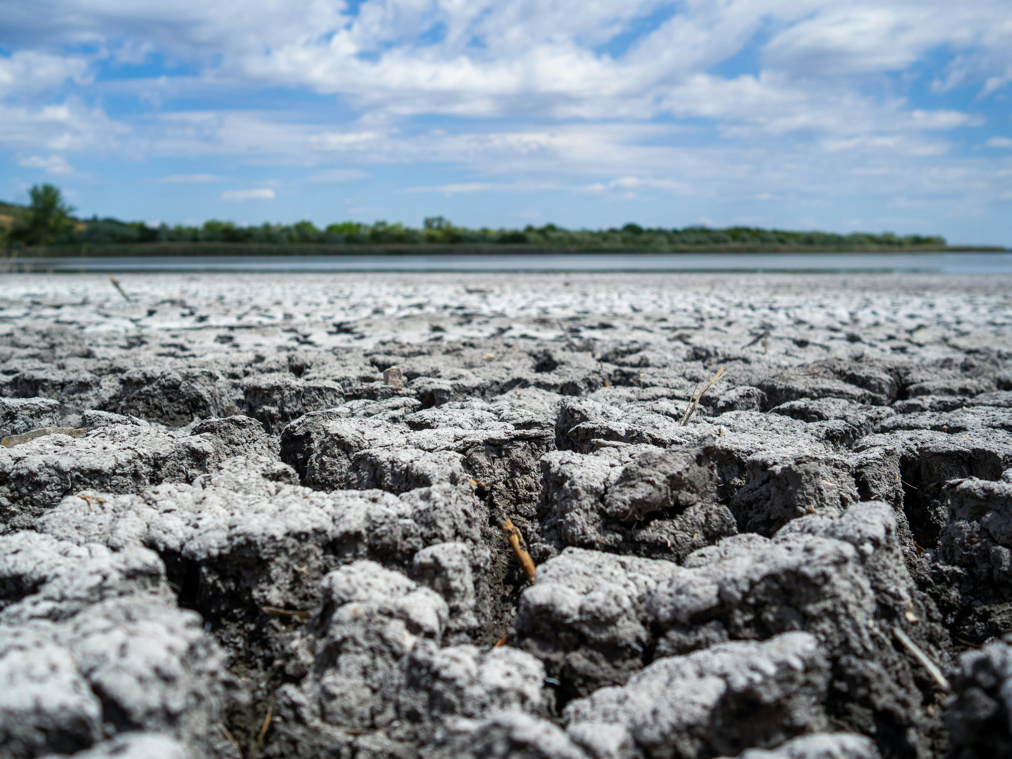 Cracked dry earth along a lake under a cloudy sky.