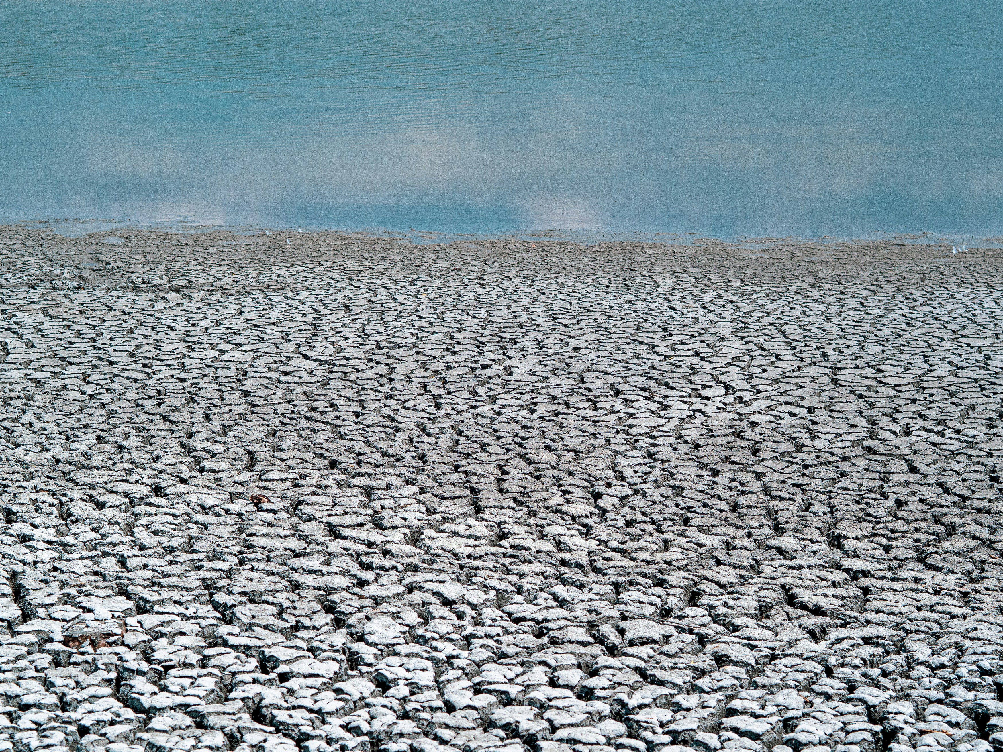 Cracked dry earth meets calm blue water.