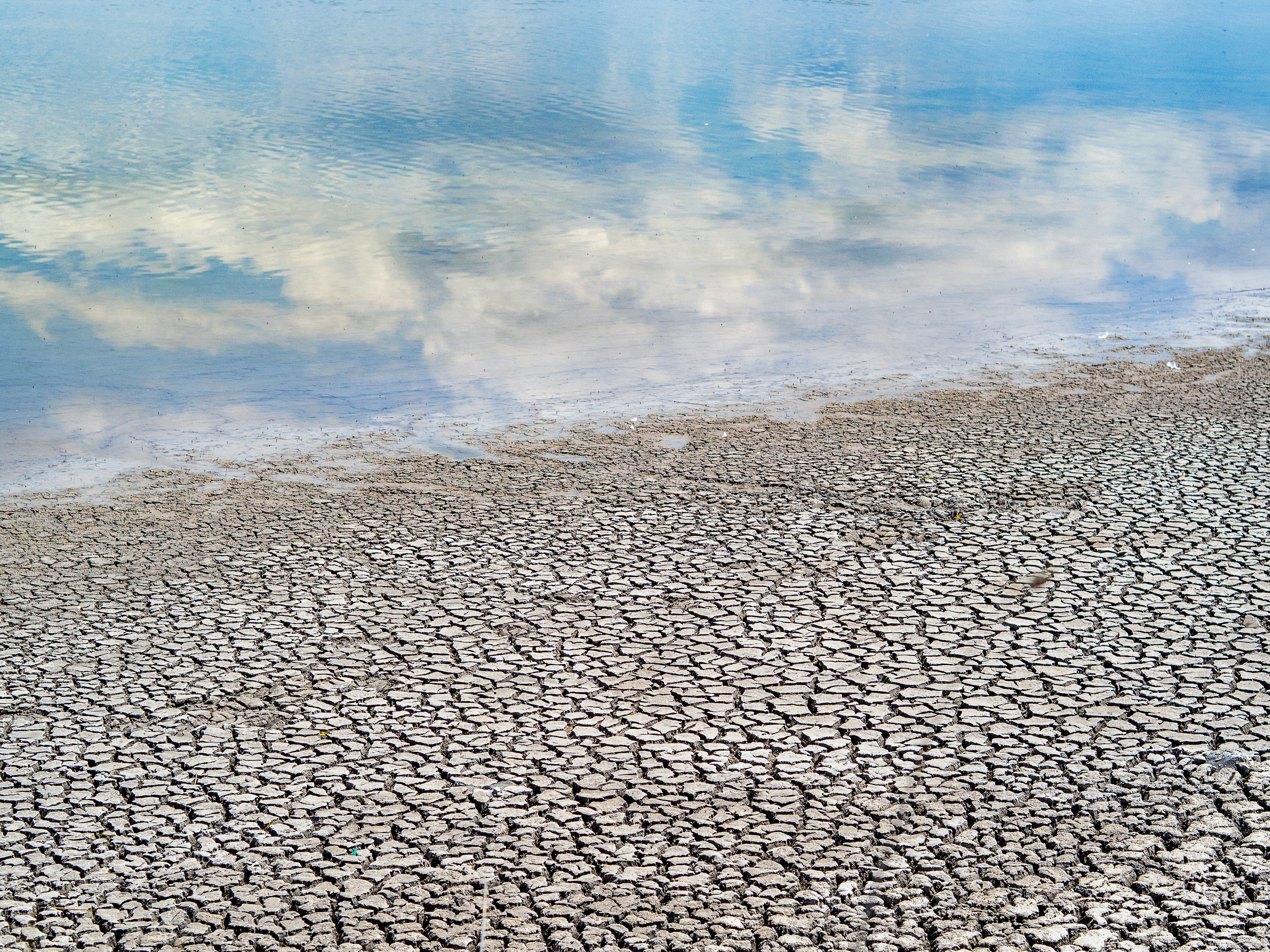 Cracked earth and blue sky reflected in still water.
