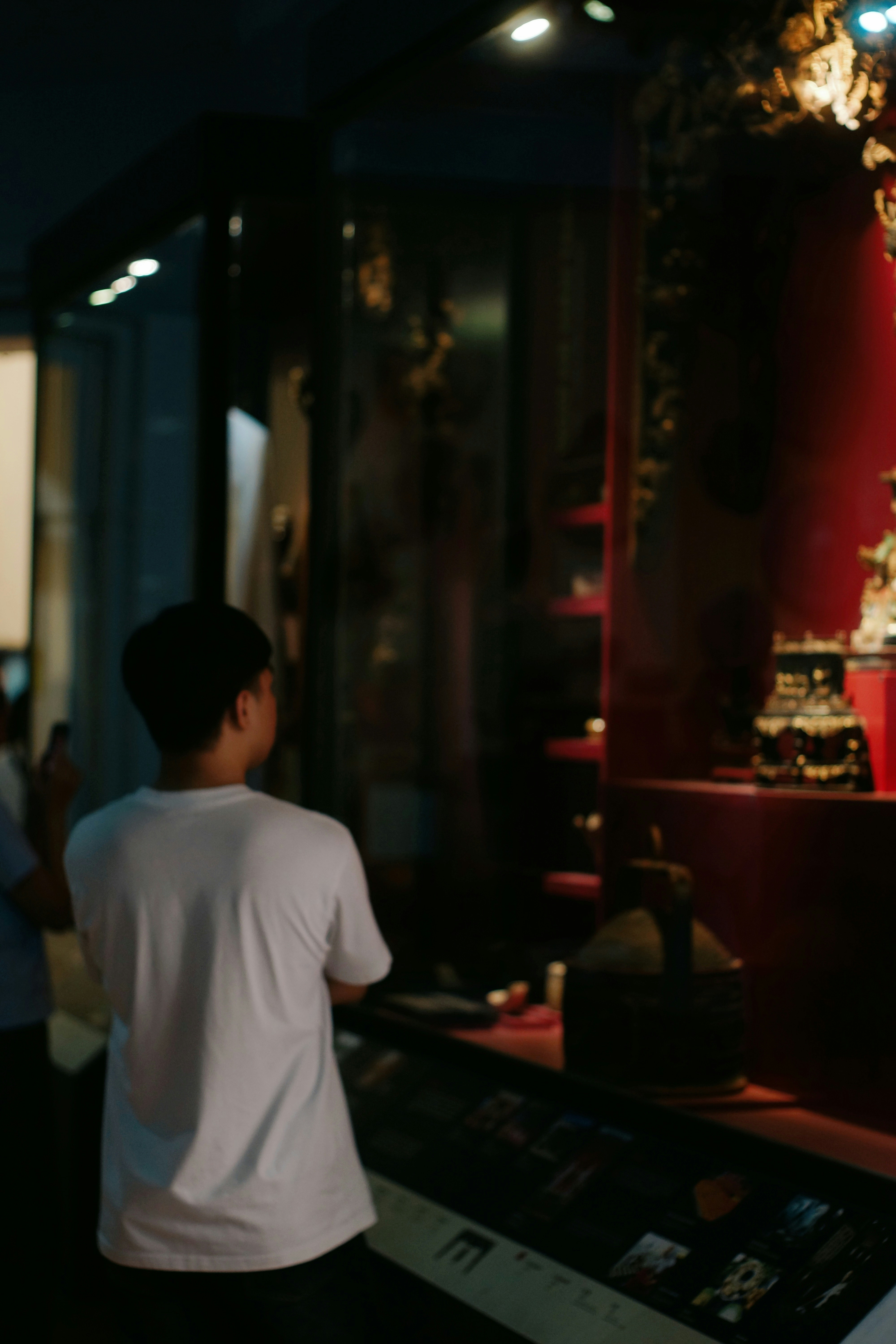 A person in a white t-shirt views a museum exhibit.