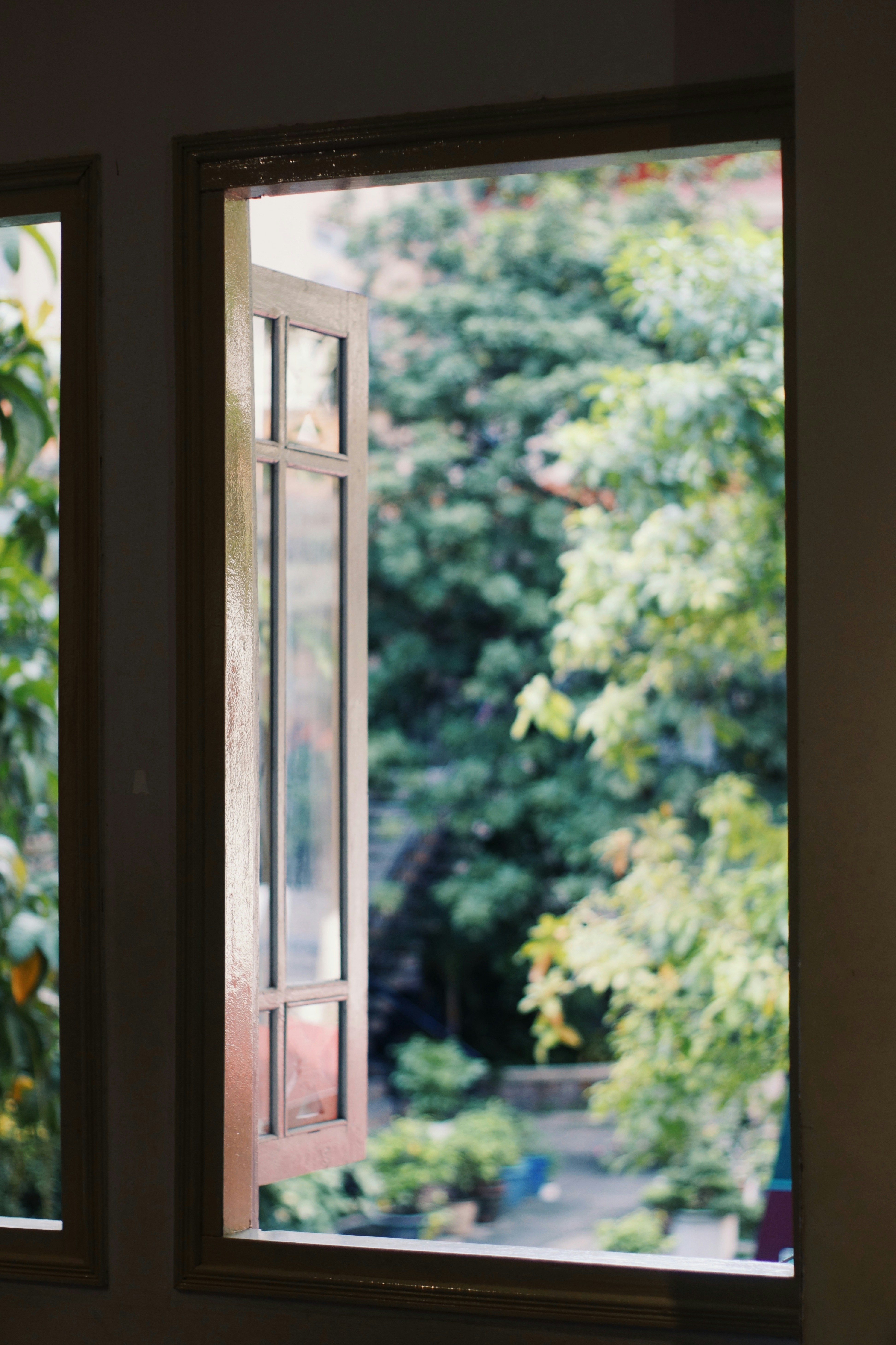 An open window looking out at green trees and foliage.