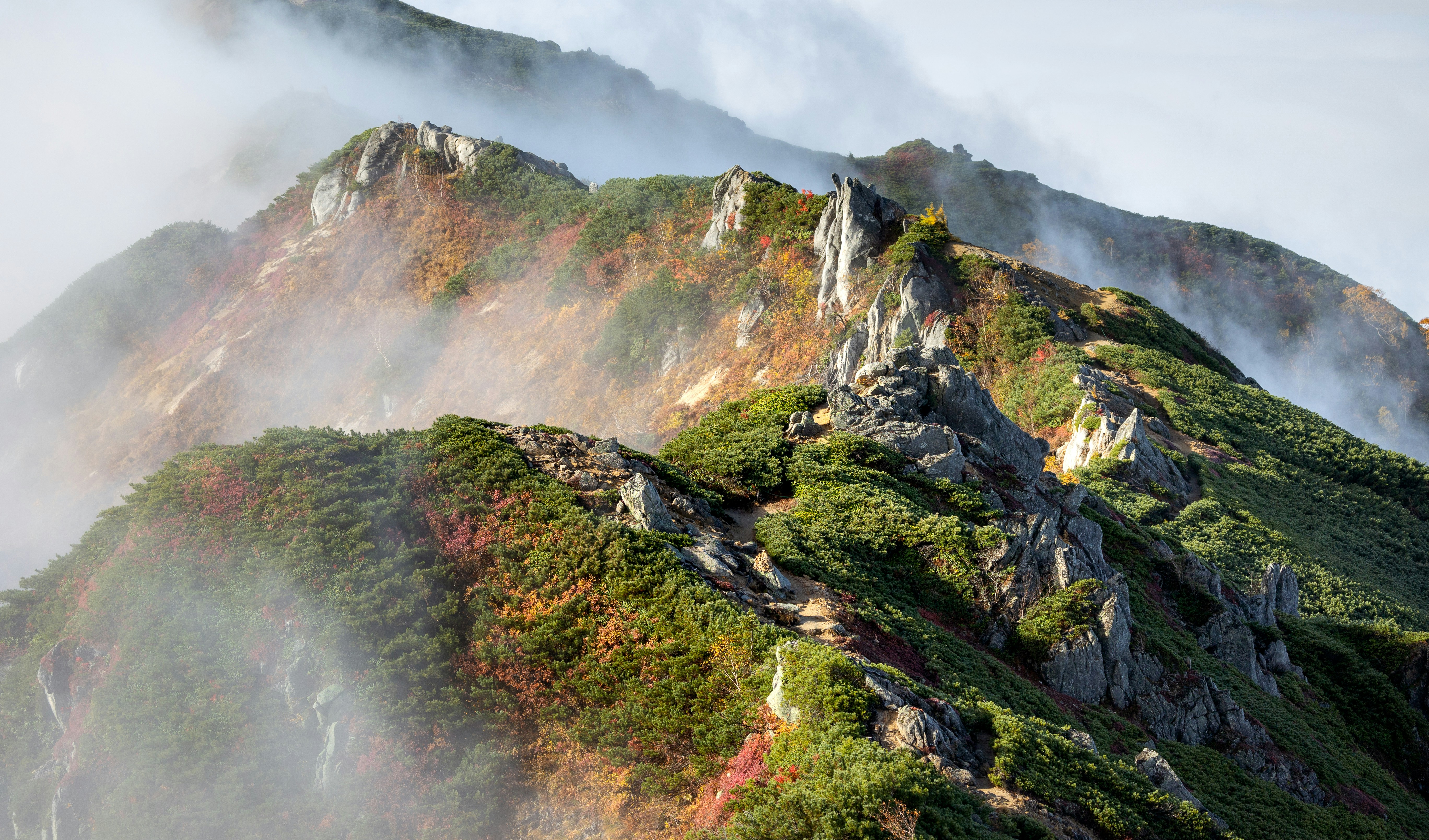Misty mountain peaks with green and red autumn foliage.