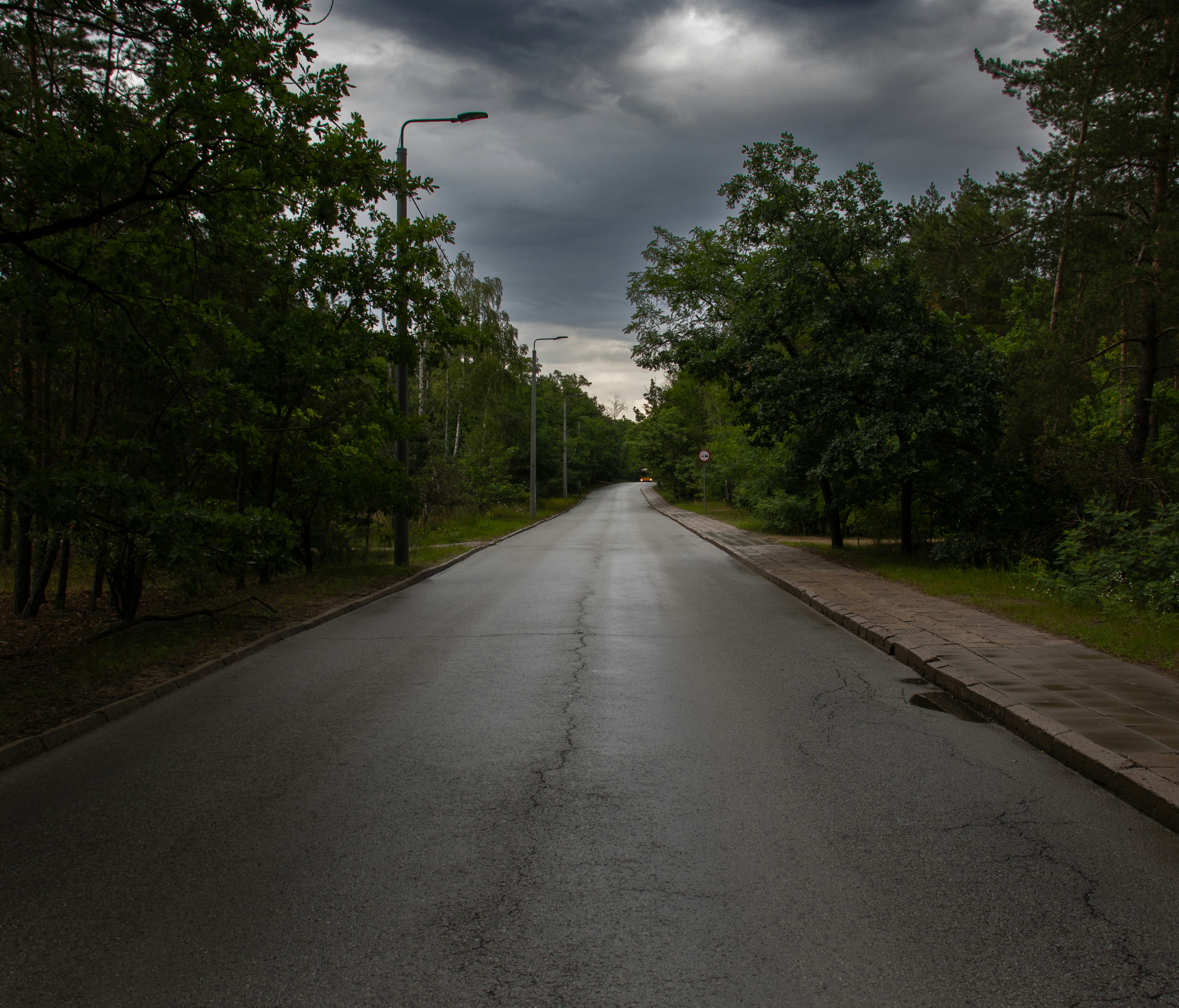 Carretera mojada a través de un bosque bajo un cielo oscuro y nublado.