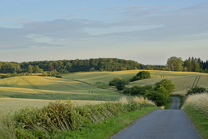 Scenic road through green hills