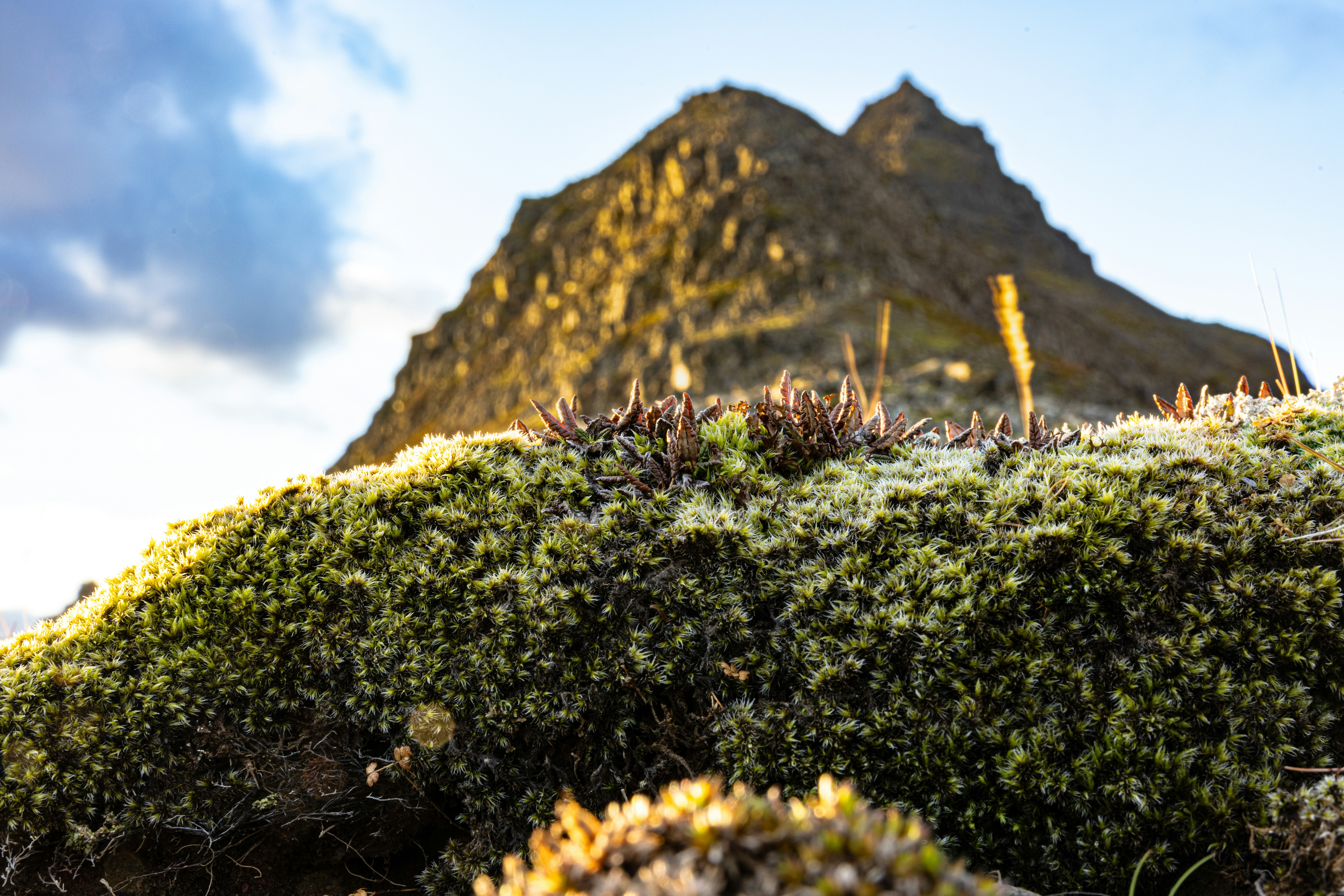 Nature Golden Sunlight Illuminates Moss And A Rugged Mountain Peak. 4K Wallpaper #3281