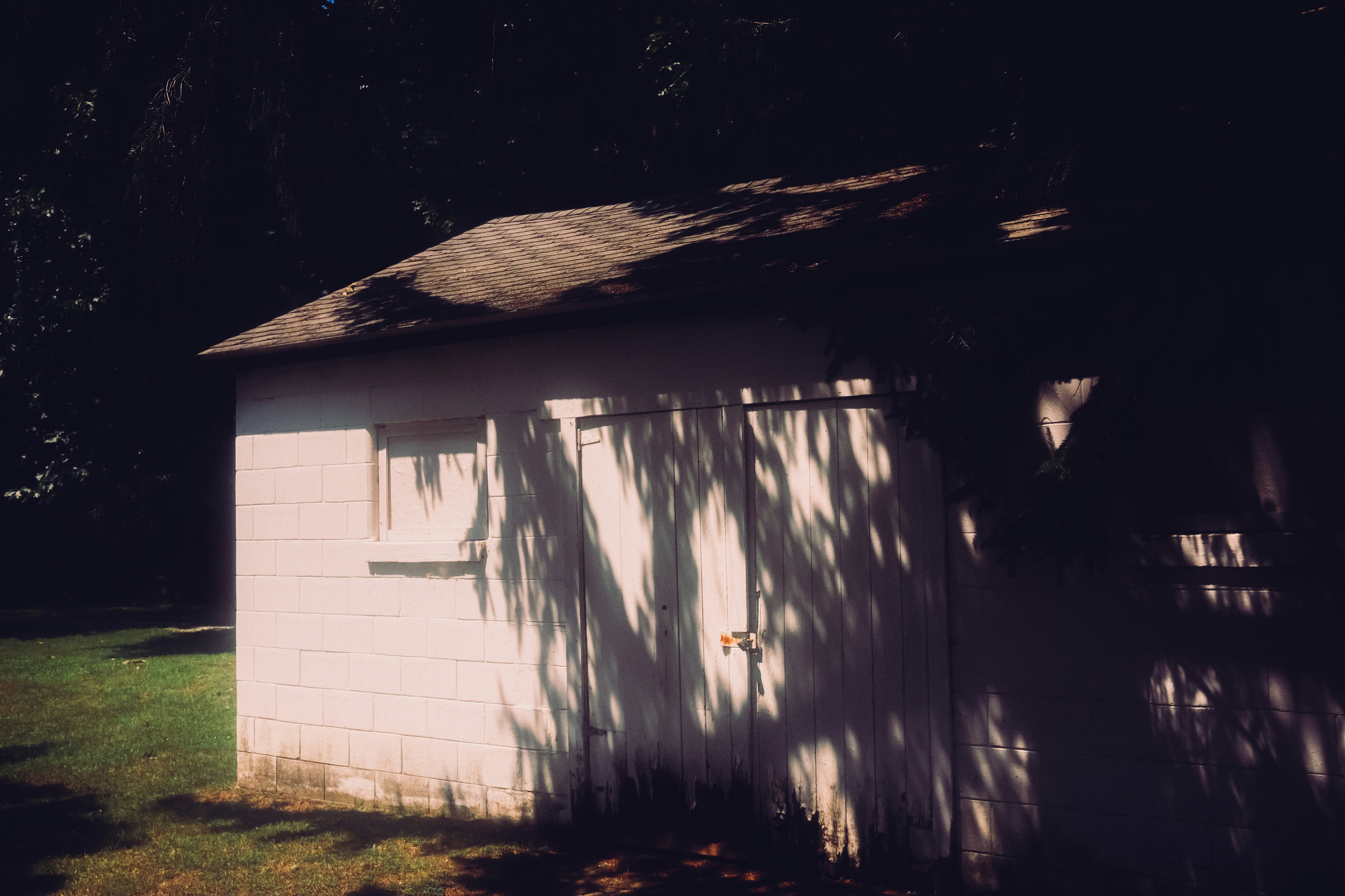 A white shed with dramatic tree shadows on its side.