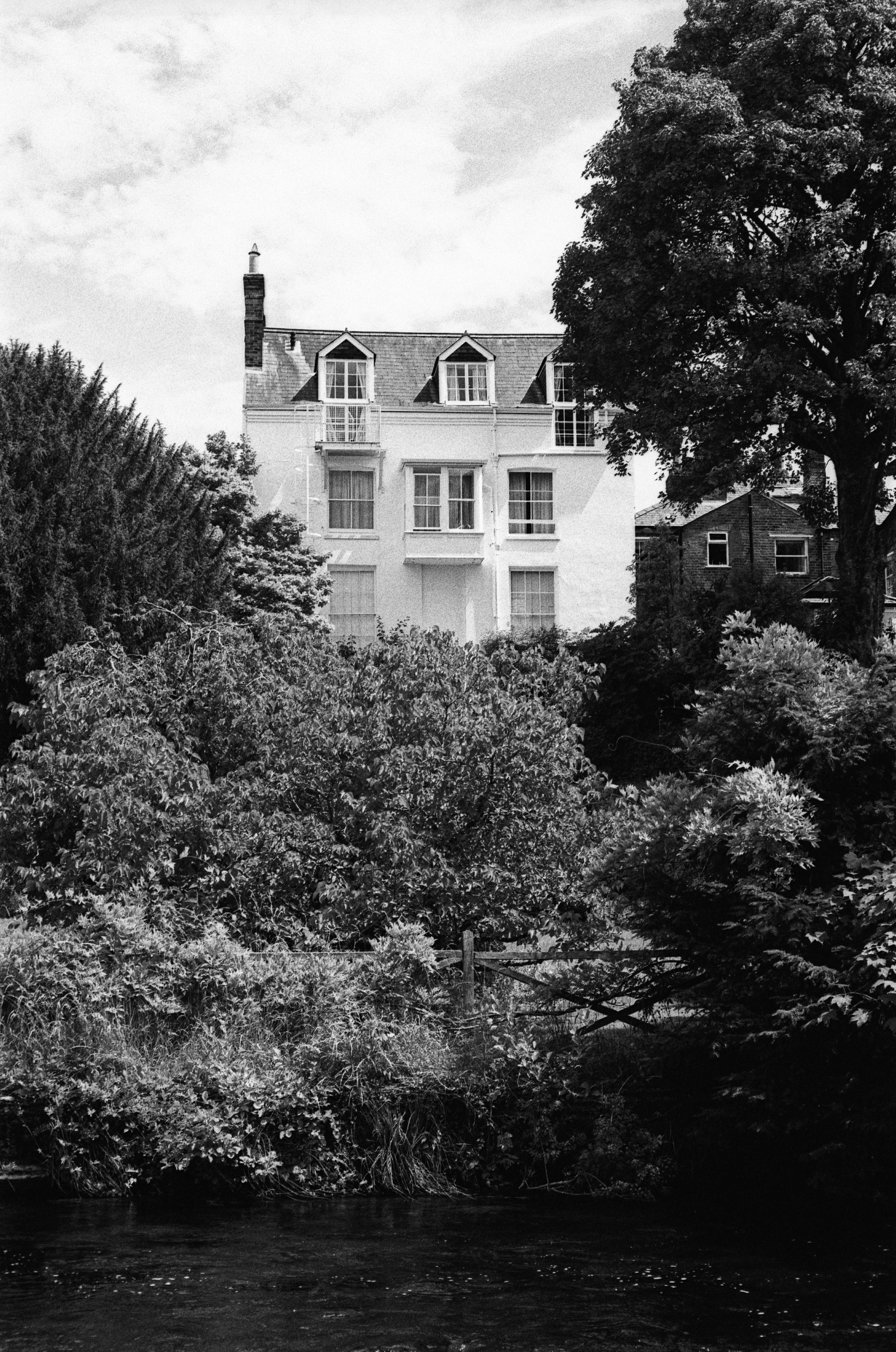 Elegante casa bianca incastonata tra gli alberi sopra l'acqua