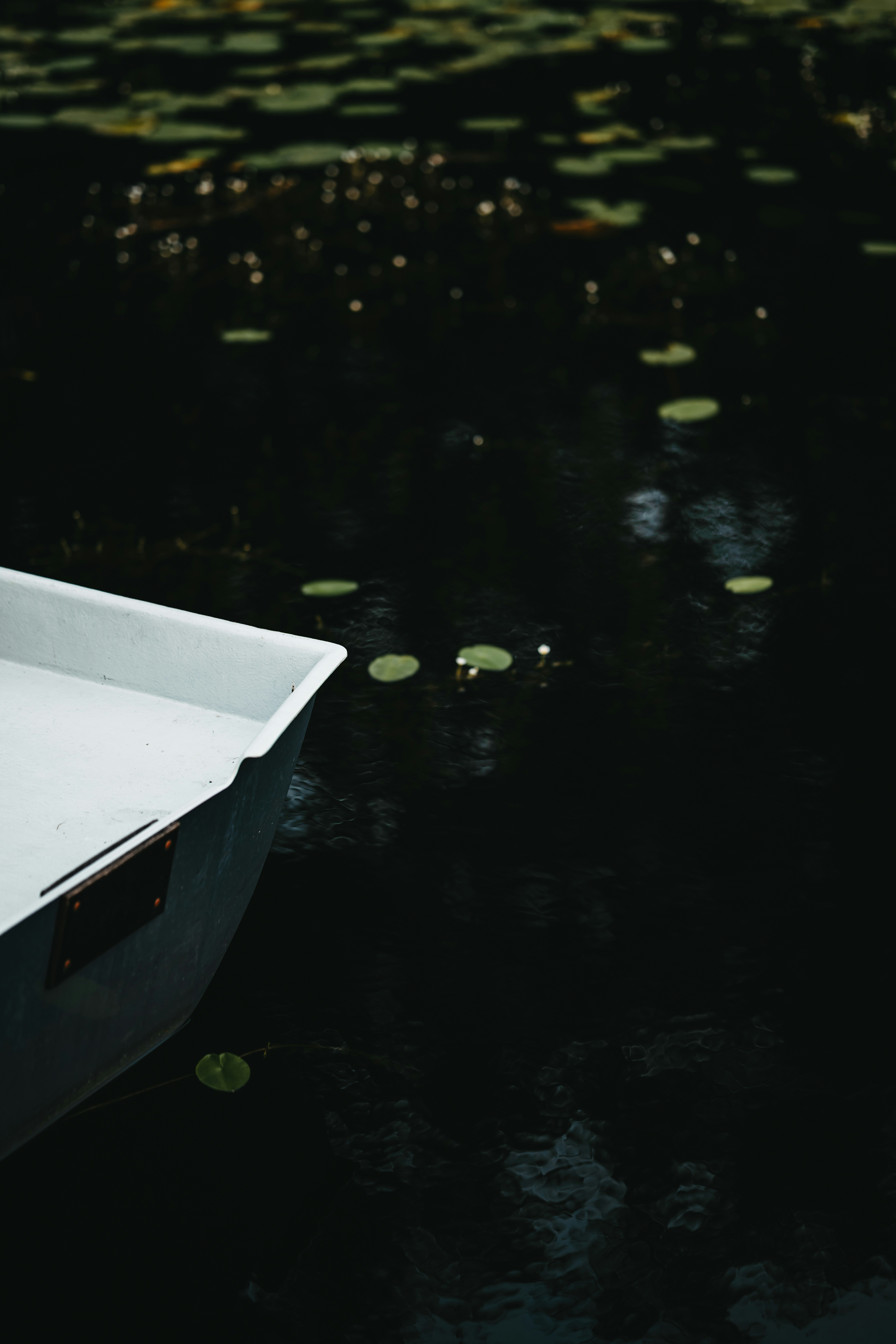 White boat floating on dark water with lily pads.