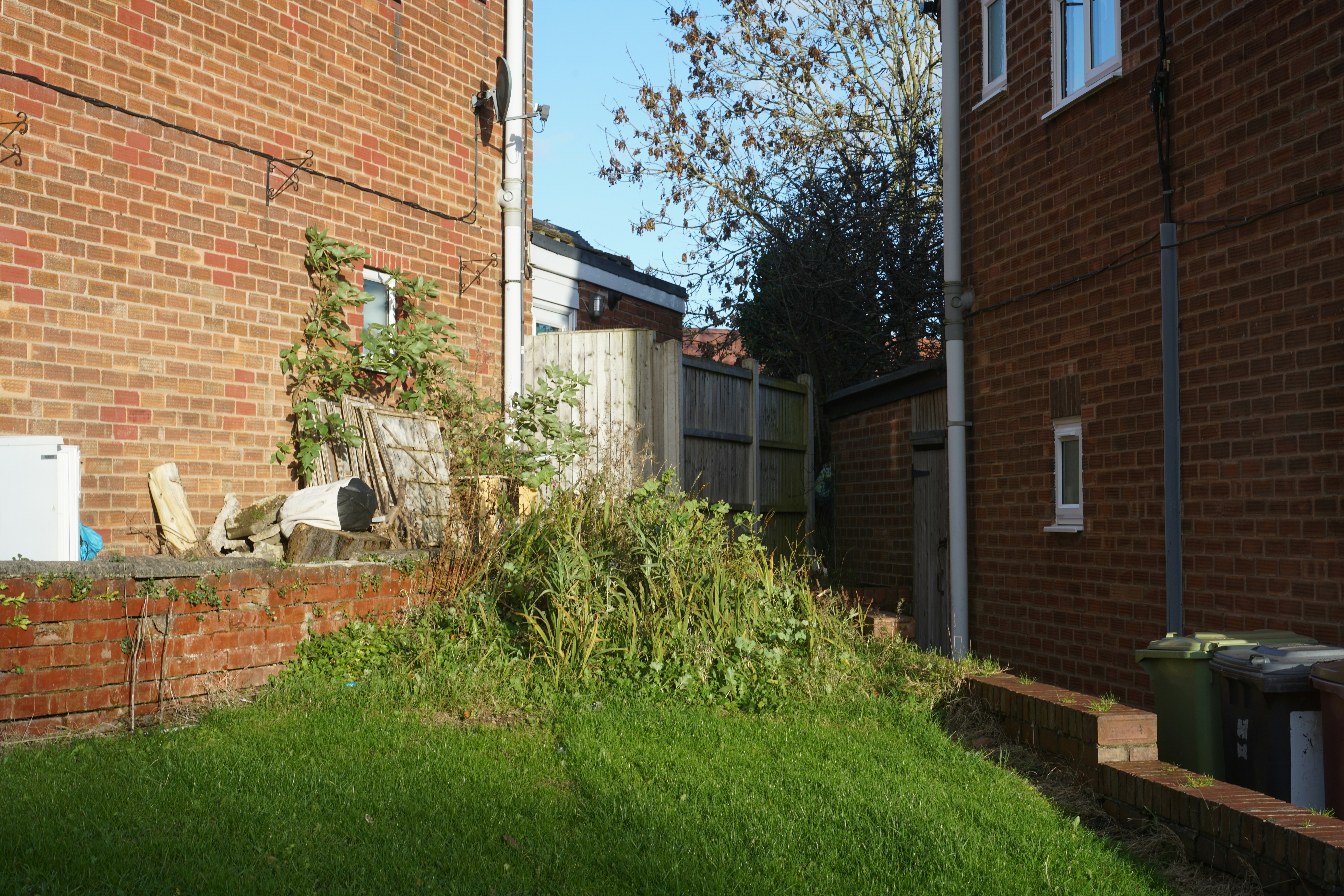 Garden Clearance