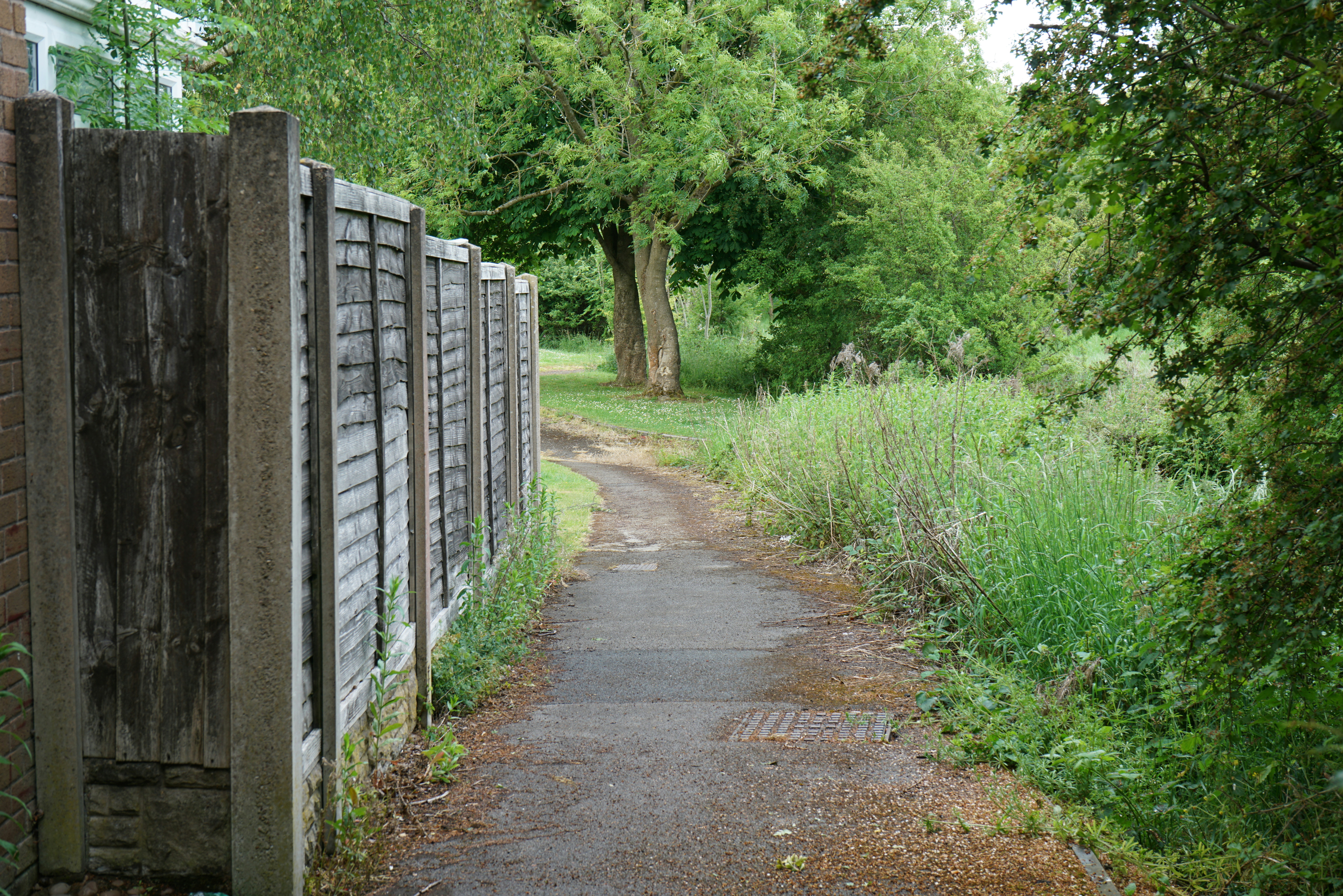 Paved path next to a wooden fence and green foliage
