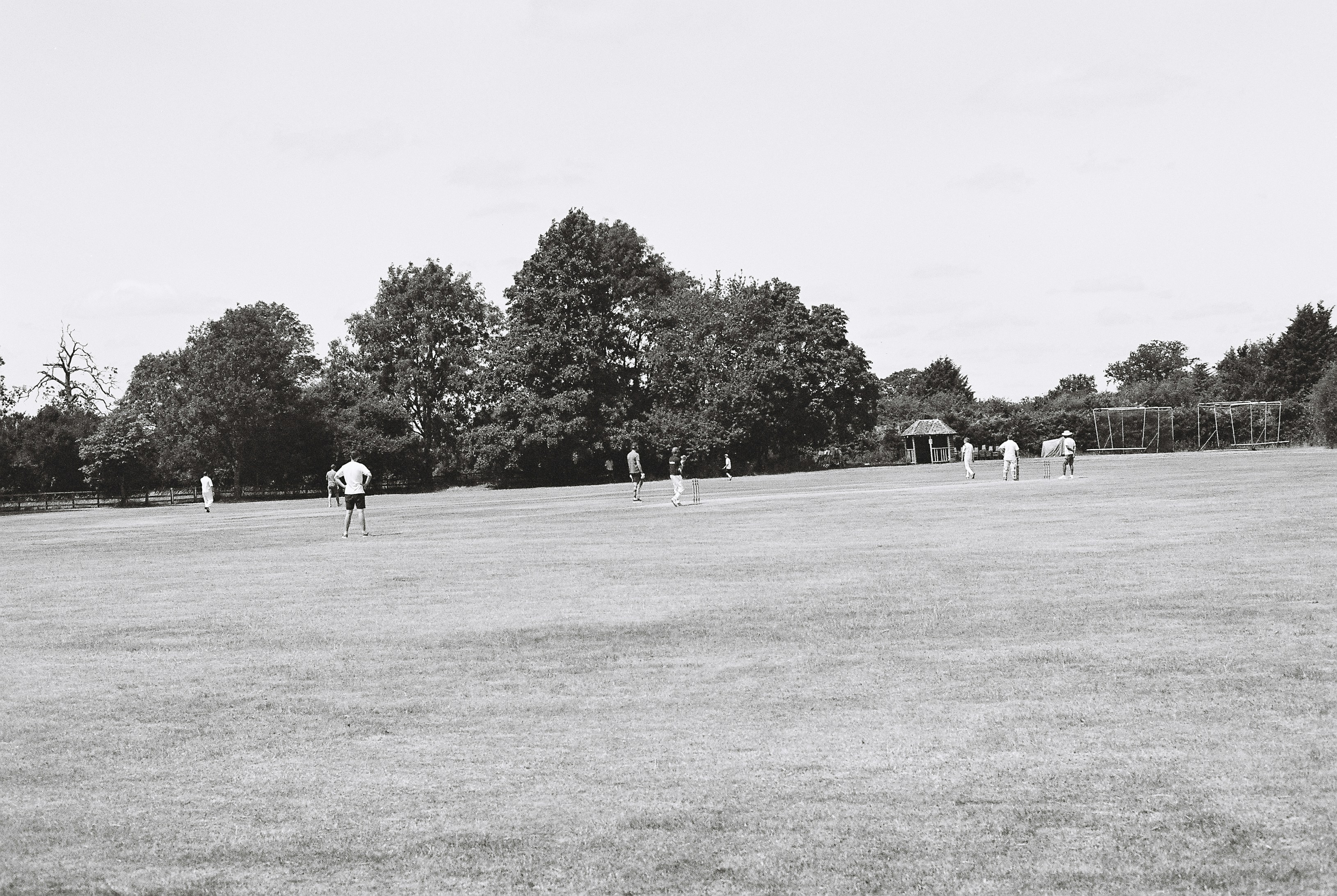 Cricket match on a grassy field — TigerExch information guide