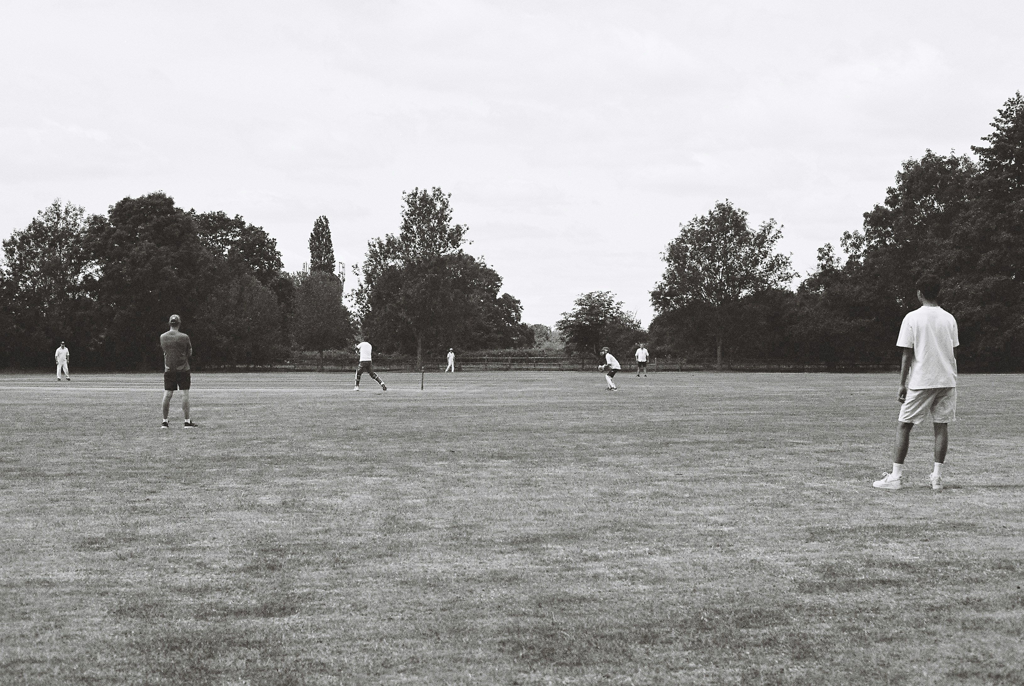 Cricket game on a wide grassy field — TigerExch information guide