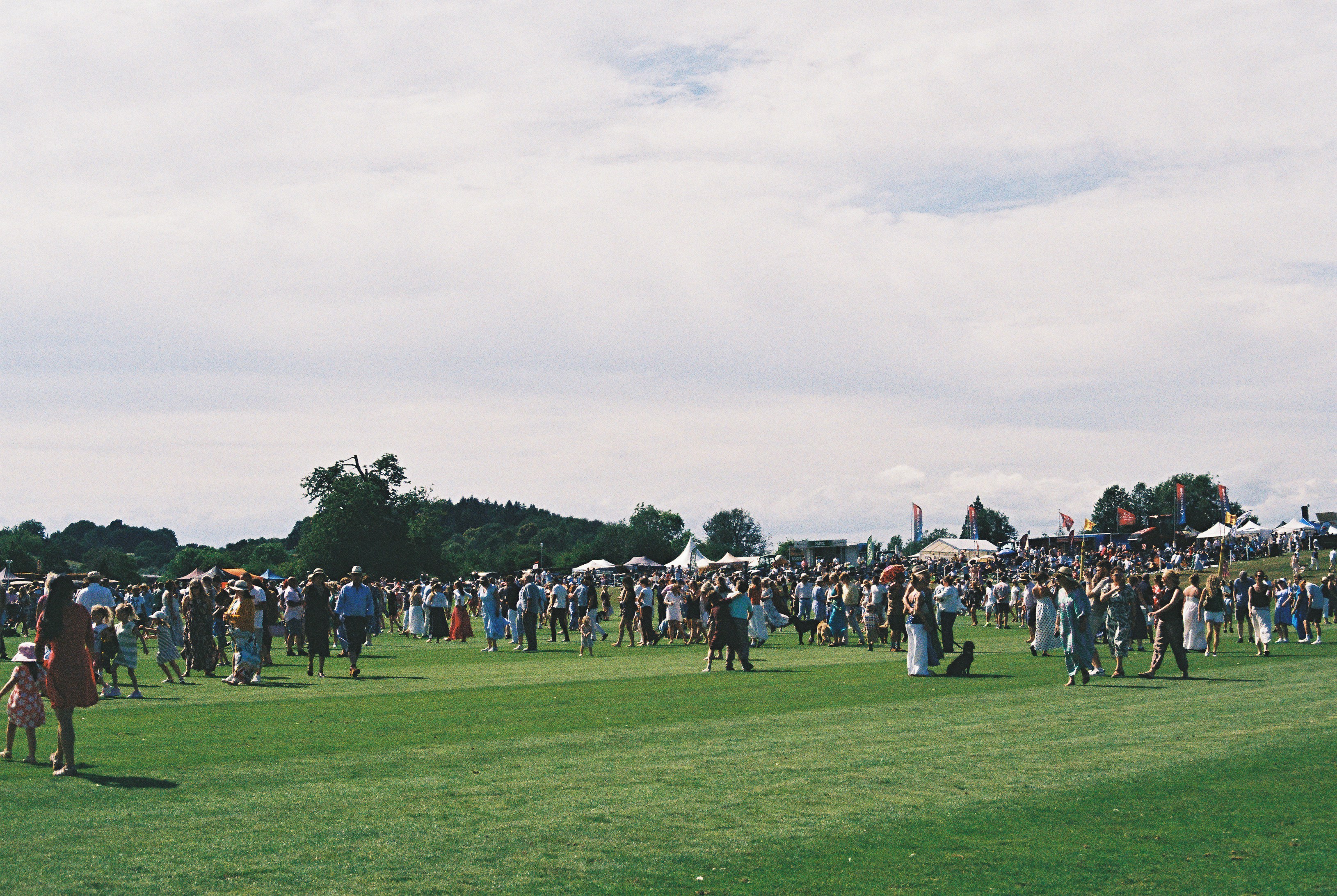 Large crowd of people on a green field