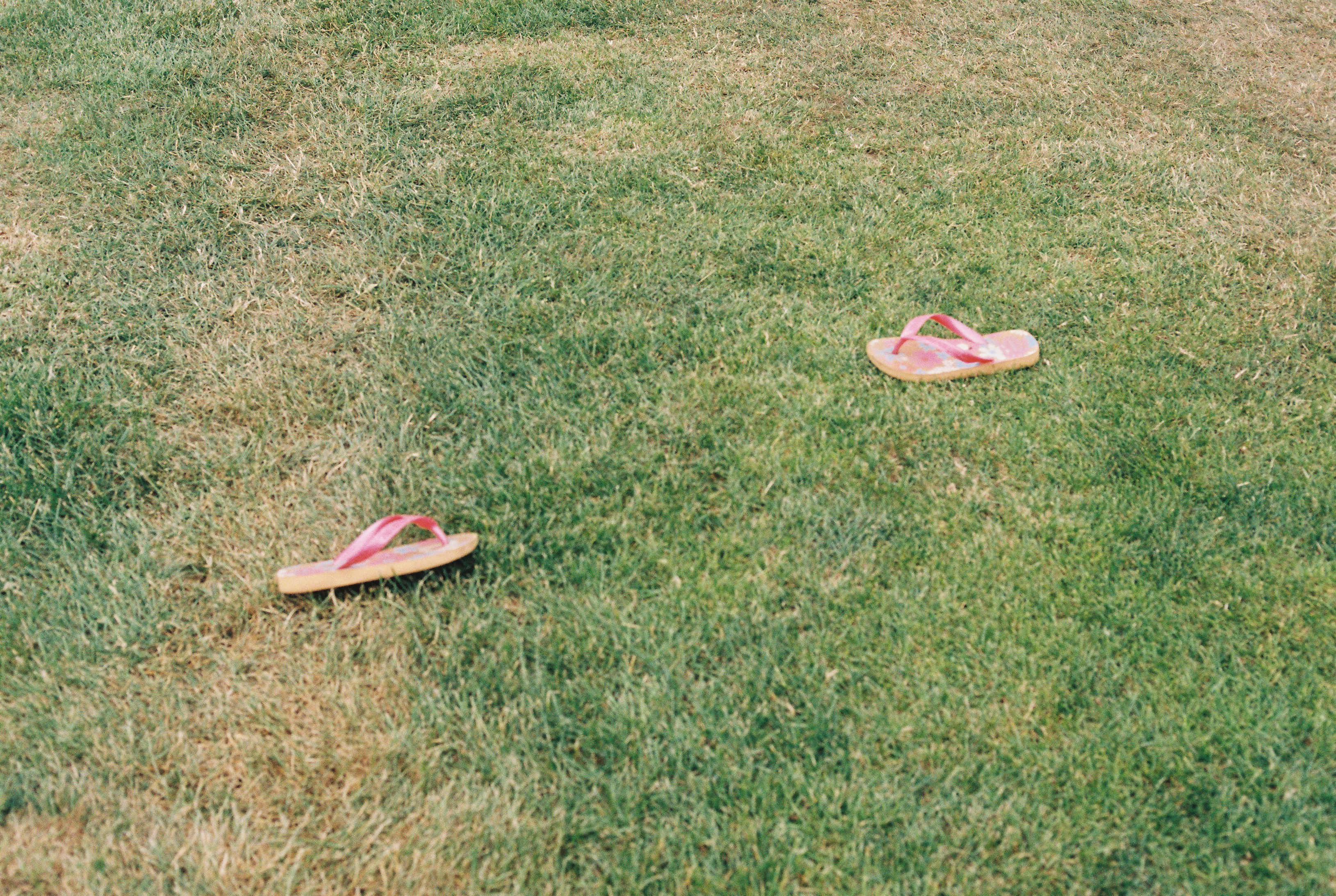 Dua sandal jepit berbaring di rumput hijau