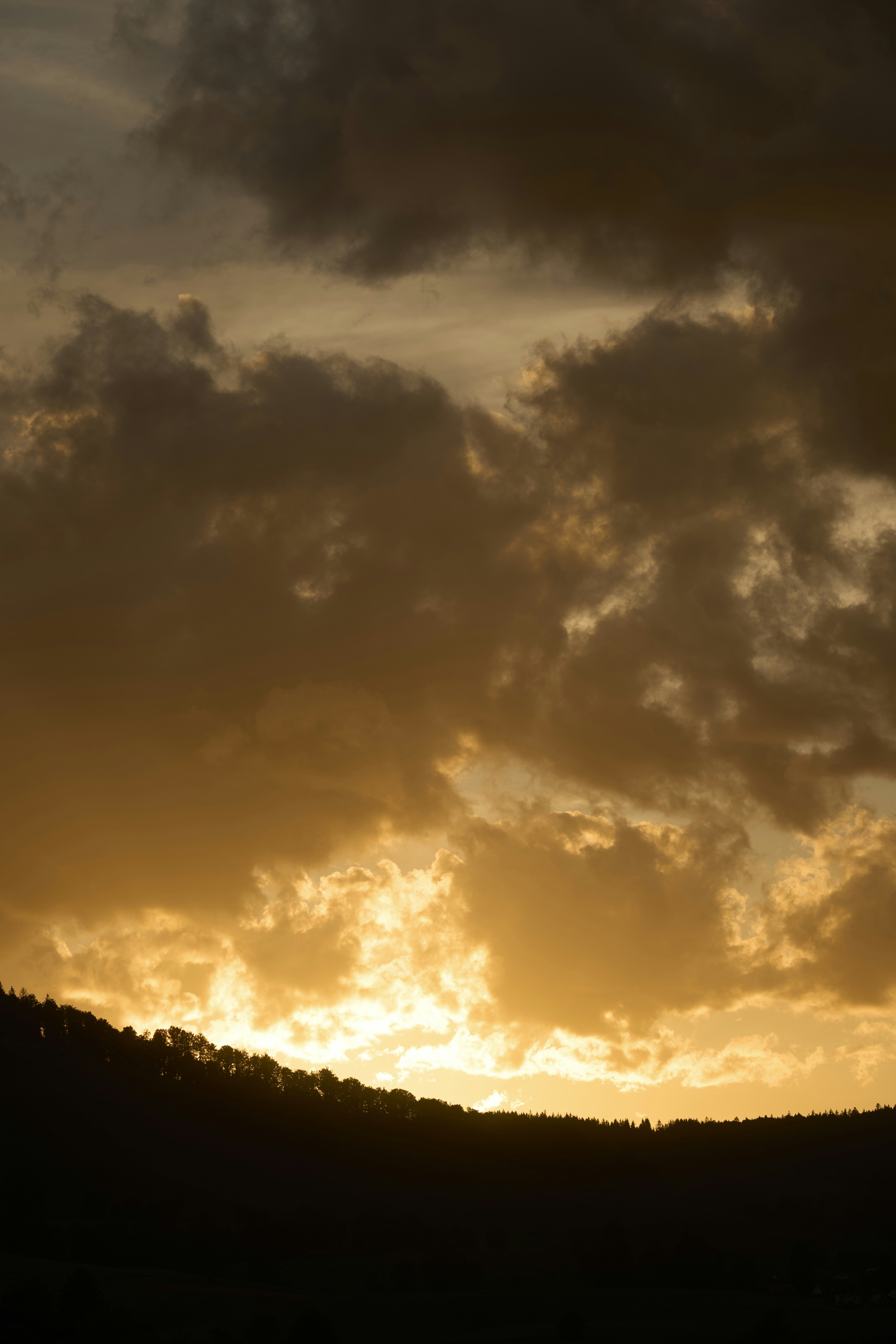 Golden sunset over a silhouetted forest with dramatic clouds.