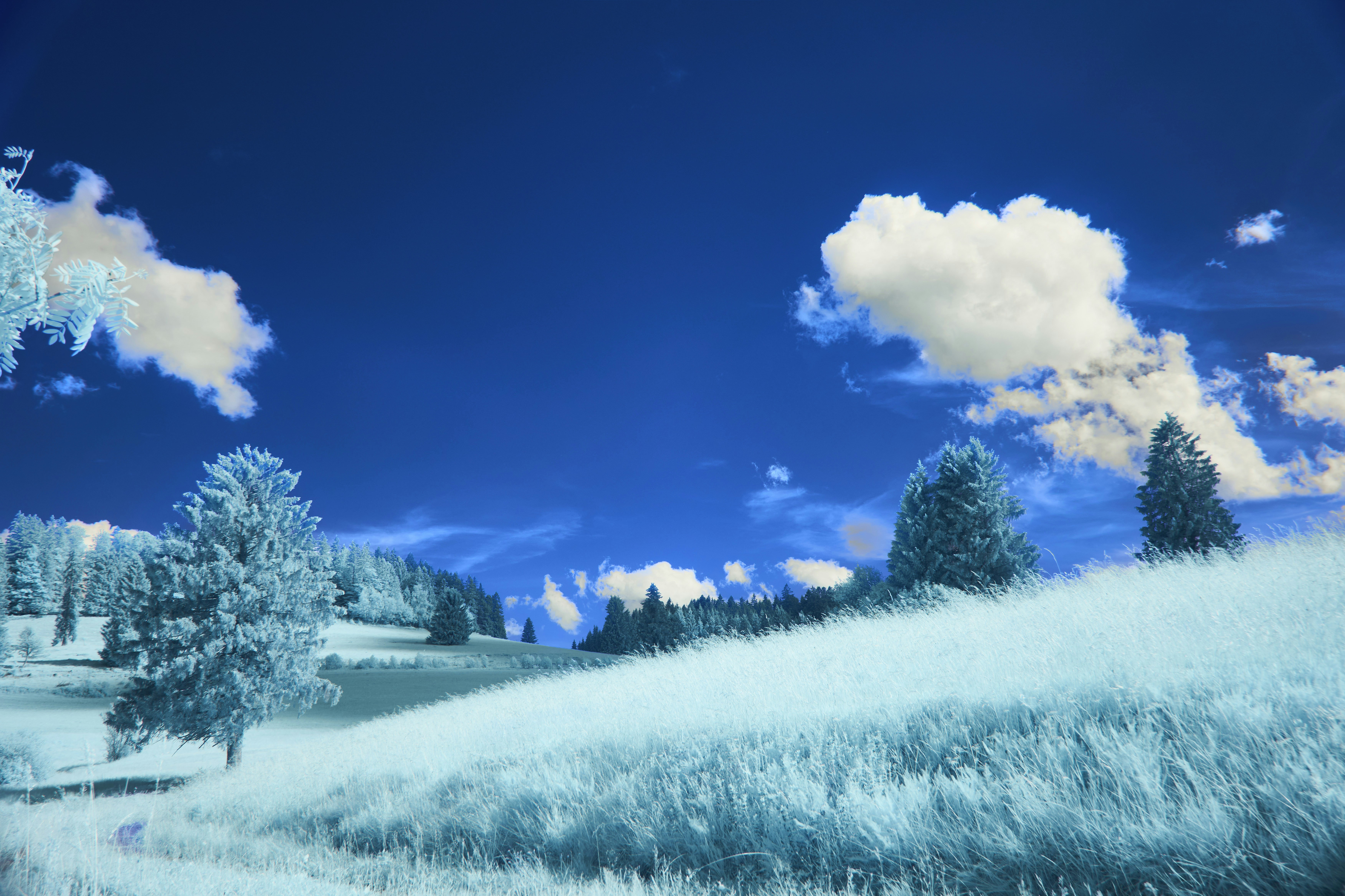 Blue infrared landscape with white clouds and light-colored trees.