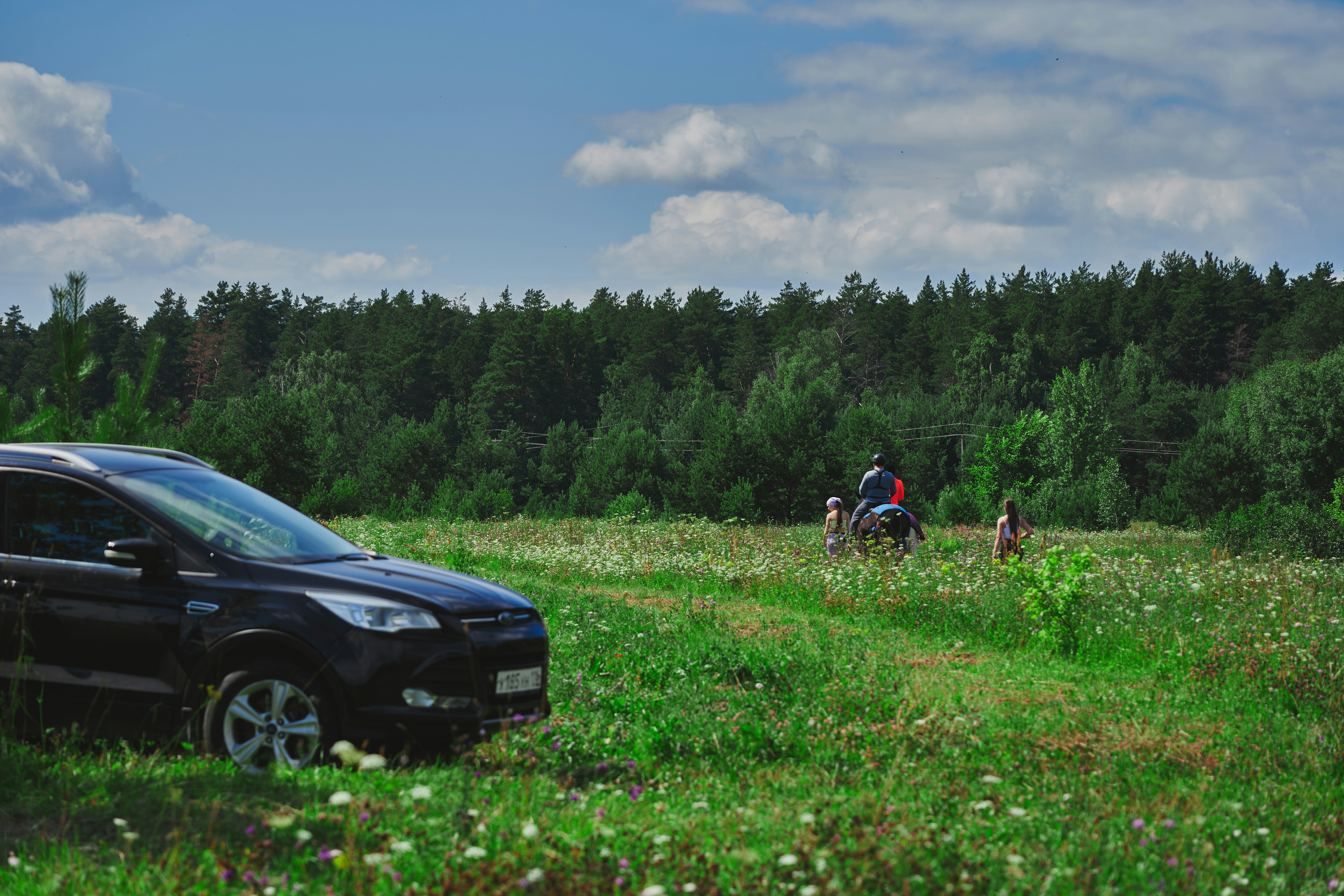 Black suv in a green field with people and forest.