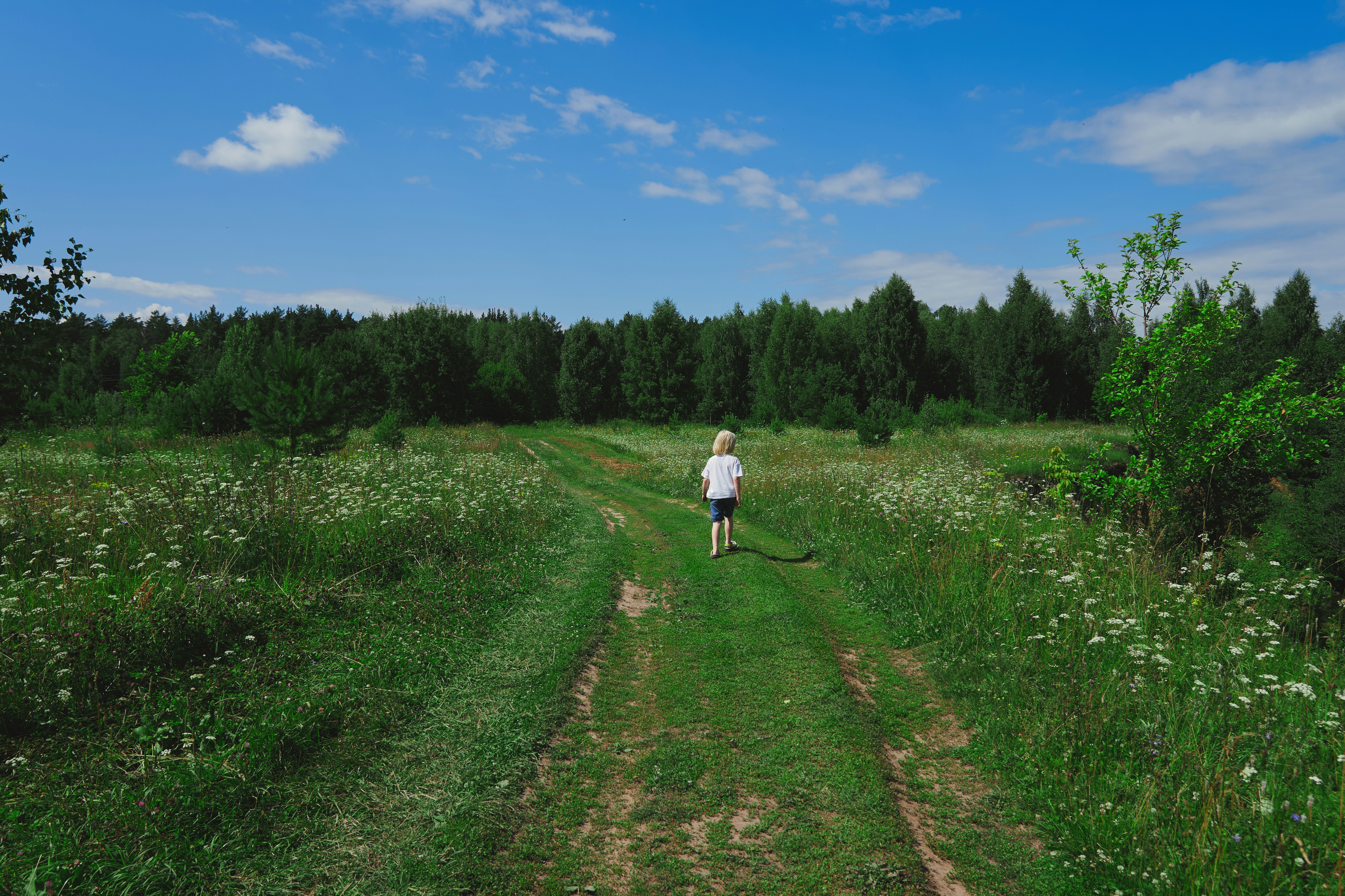 A child runs down a grassy path towards a forest.