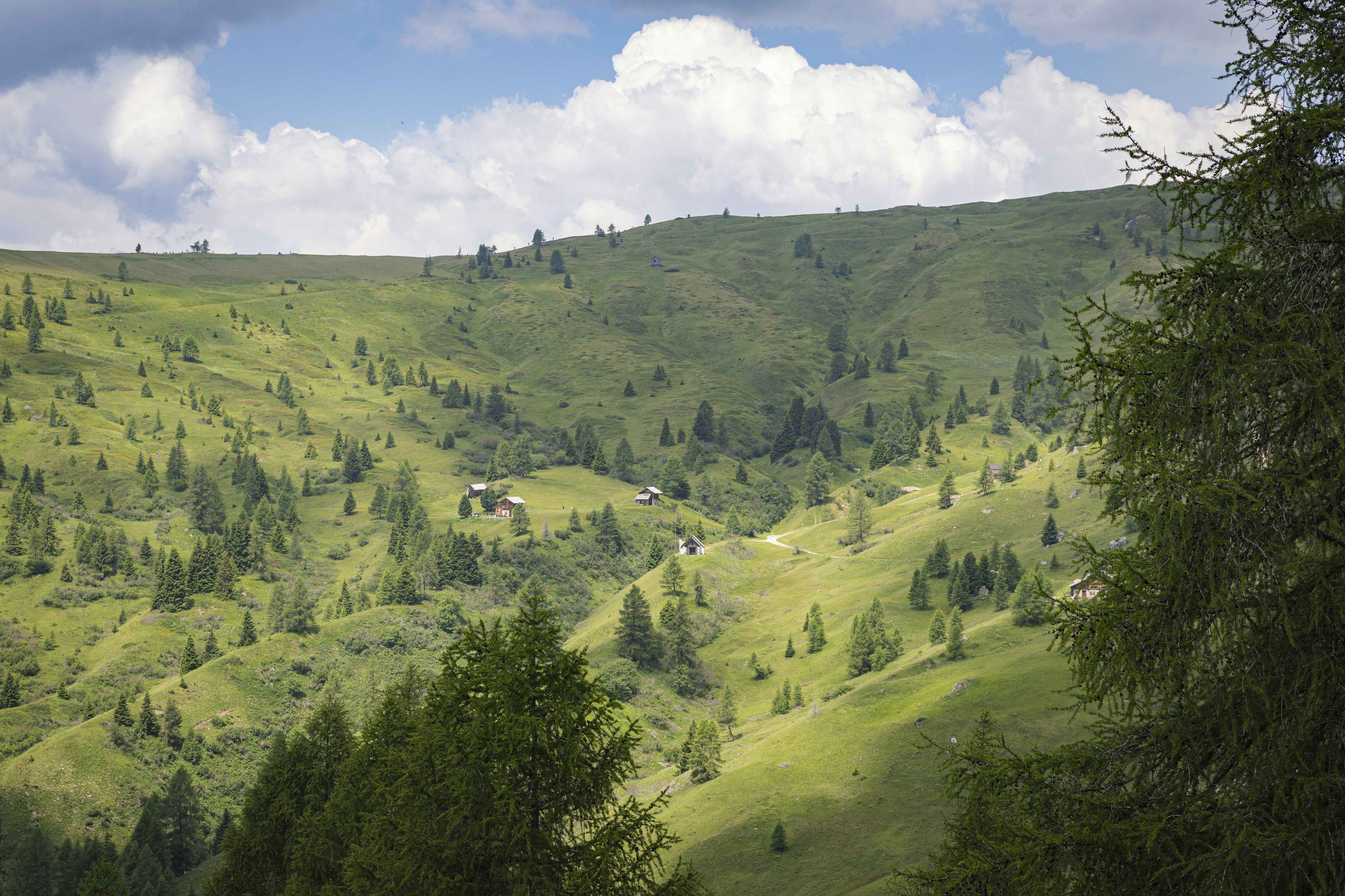 Green mountain slopes with scattered trees and distant buildings