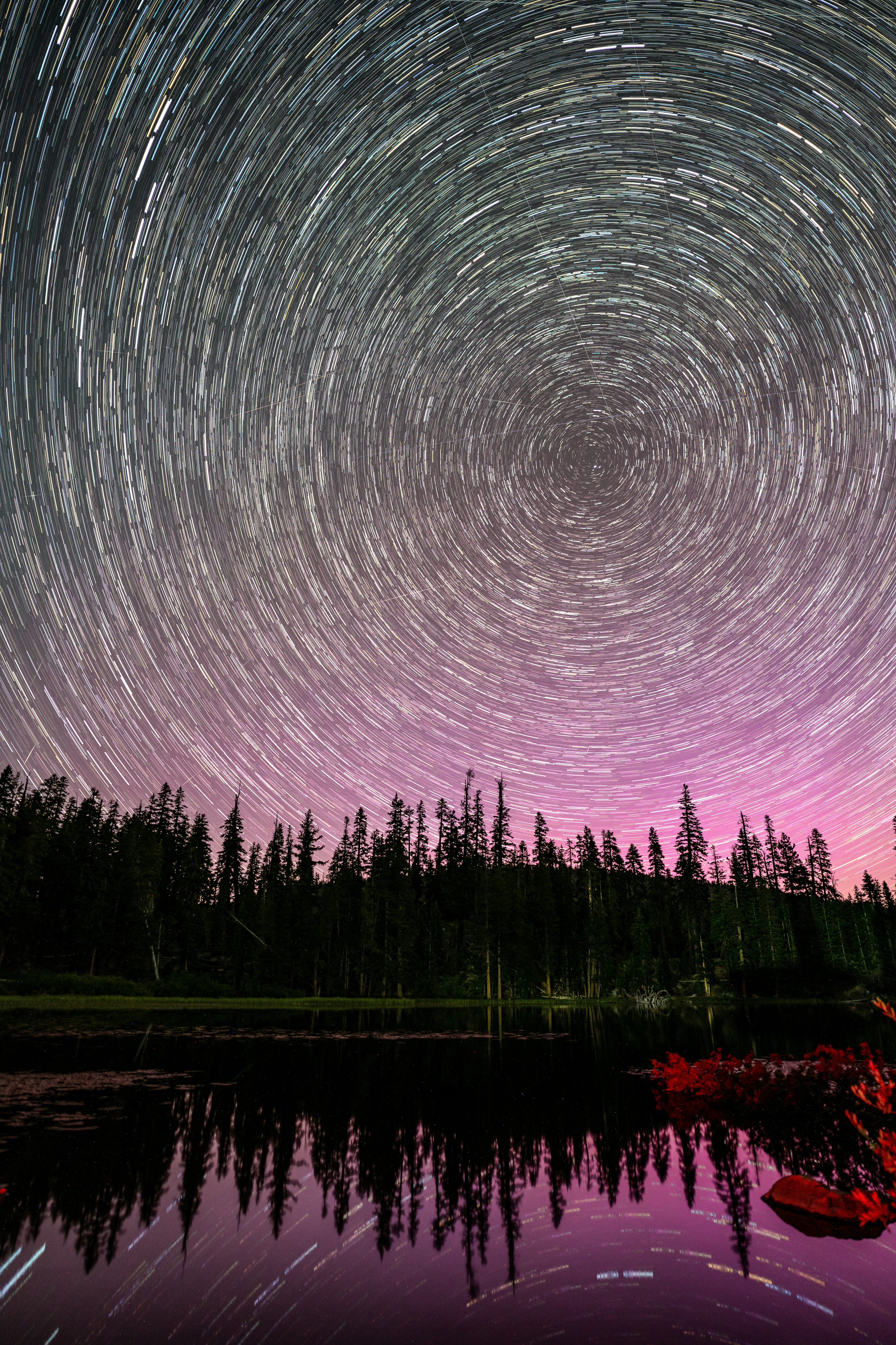 Star trails over forest and lake with purple sky.