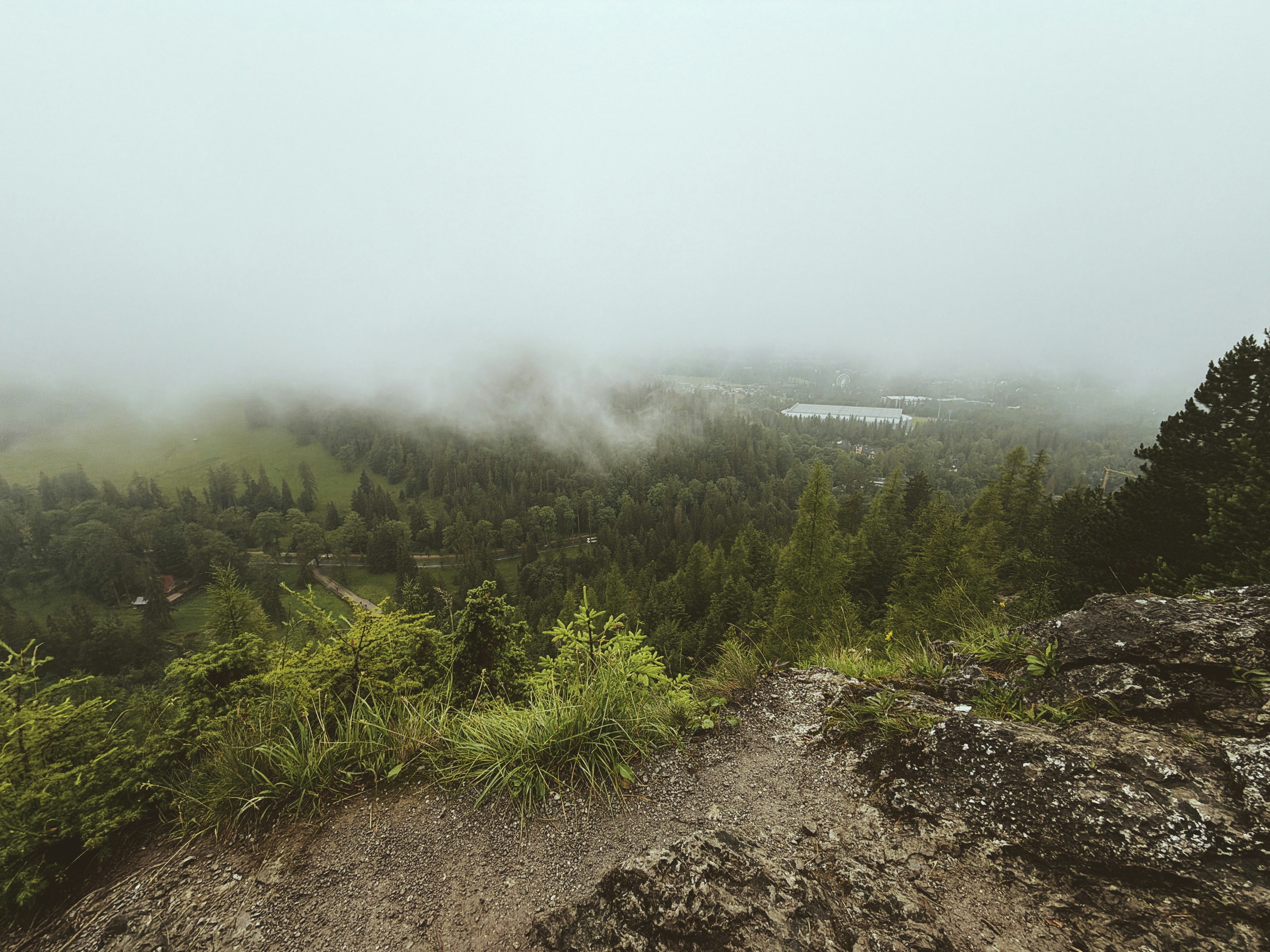 Foggy mountain view over a dense green forest.