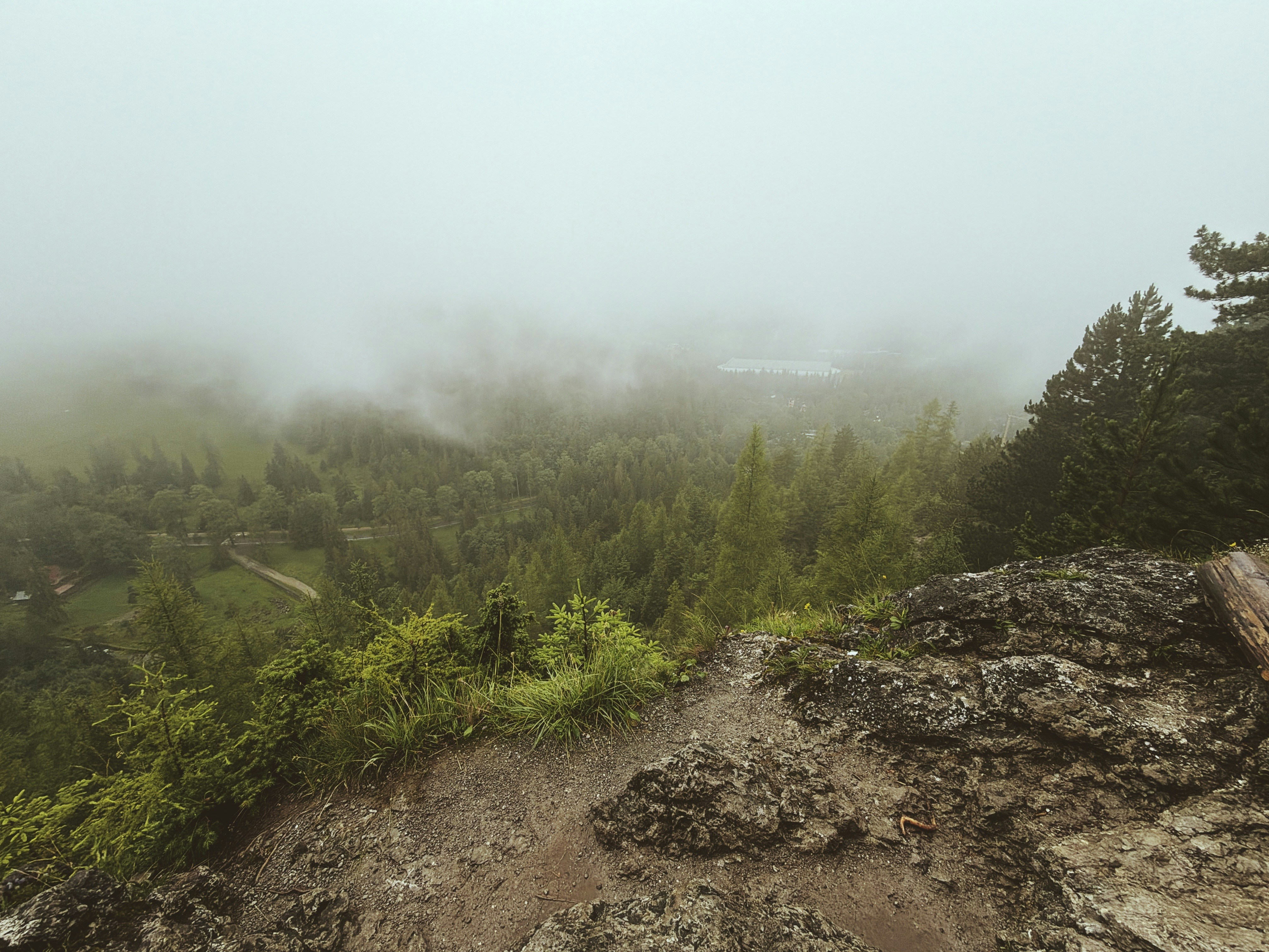 Rocky cliff overlooking a foggy, dense forest landscape.