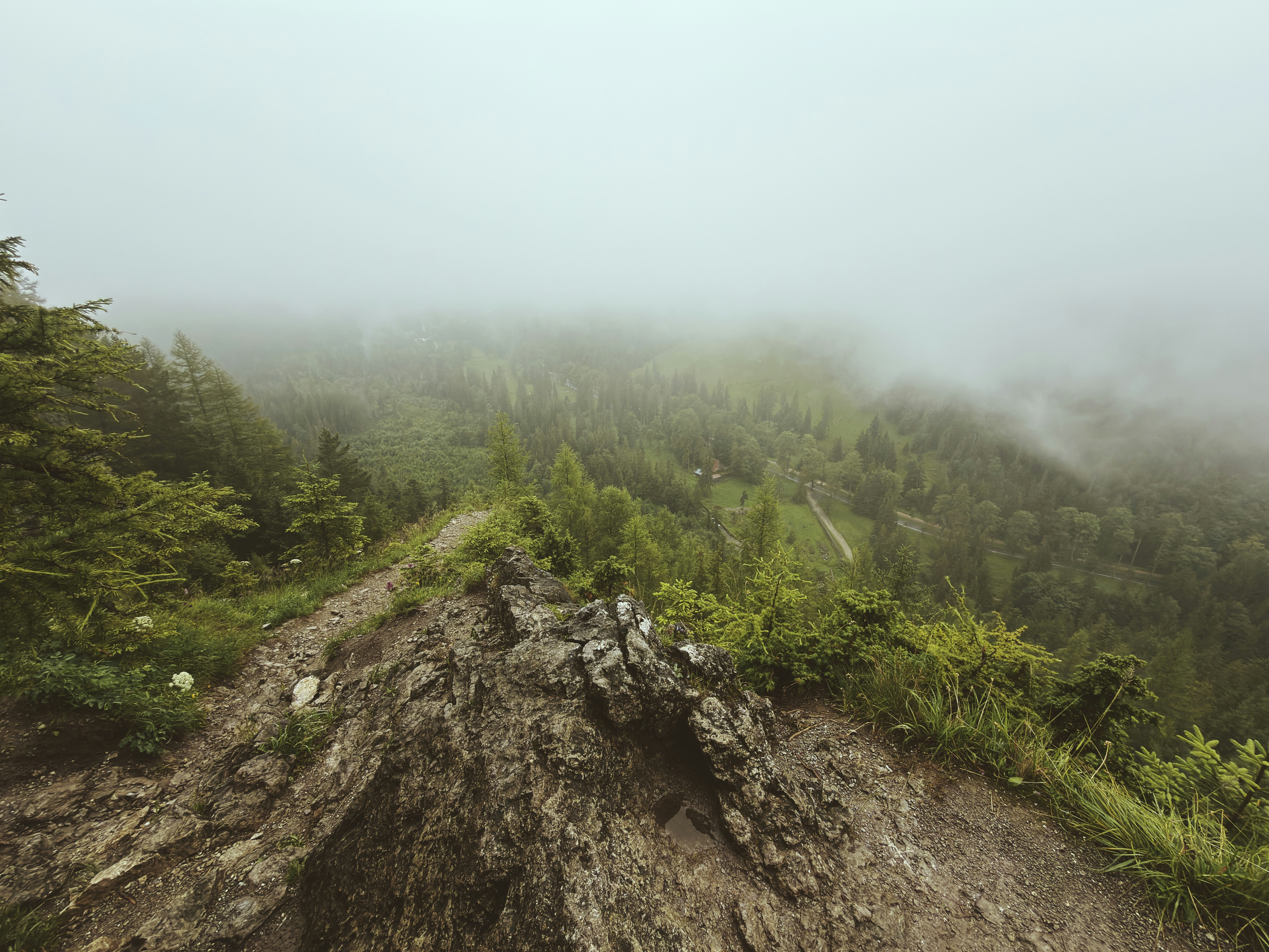 Rocky mountain ridge overlooking a foggy forest.