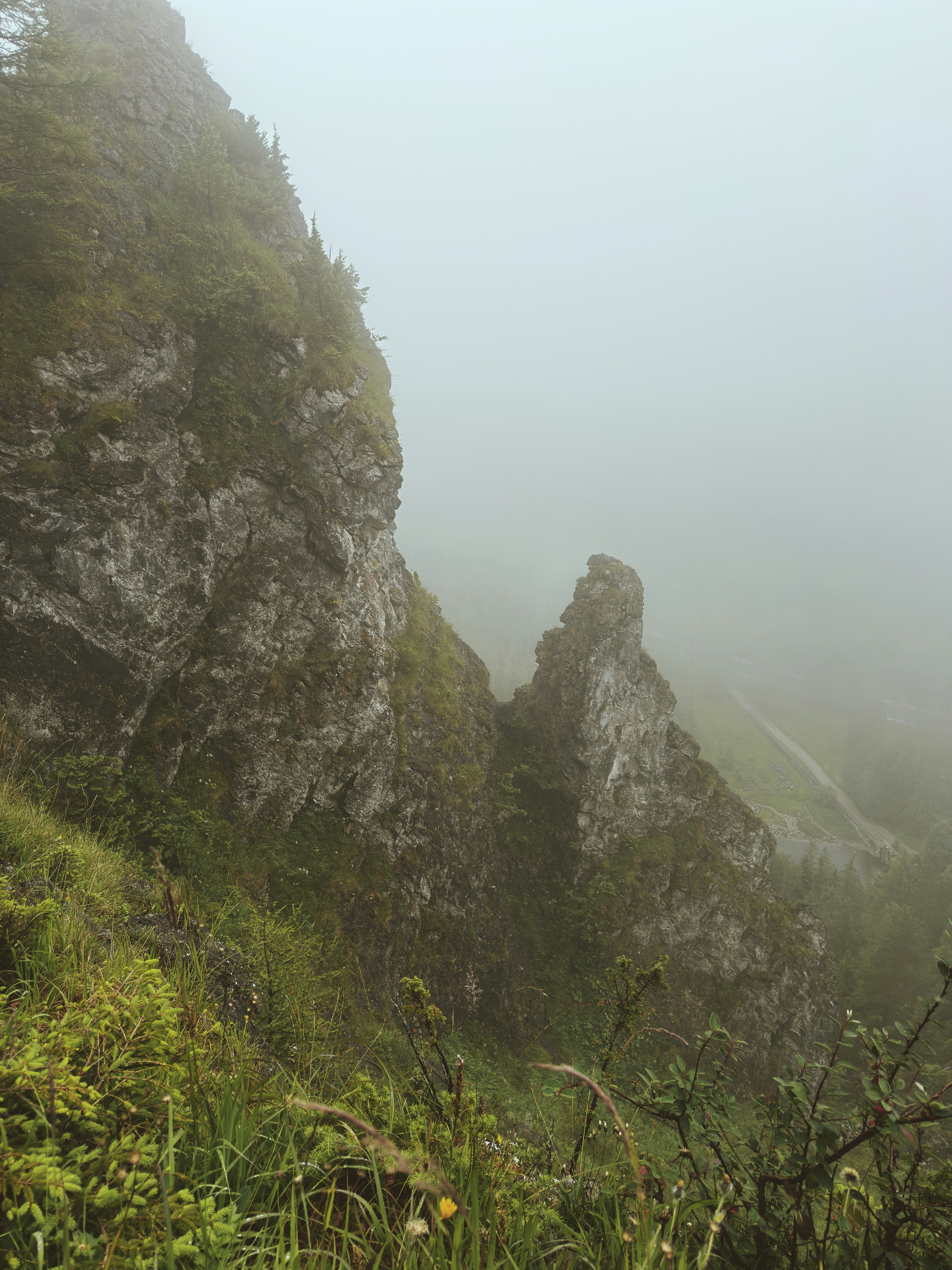 Foggy mountain landscape with rocky cliffs and green vegetation.