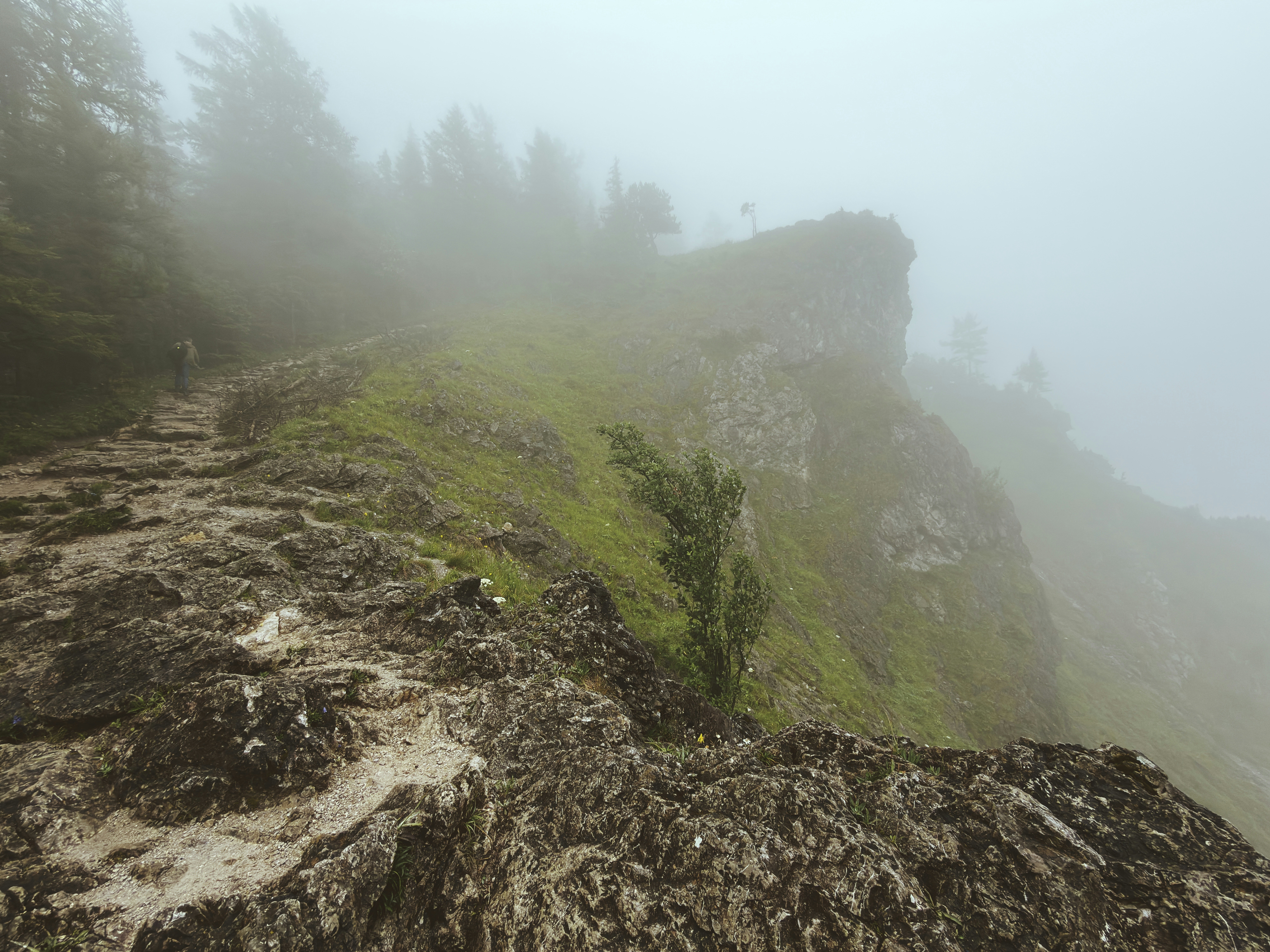A foggy, rocky mountain path with green grass and trees.